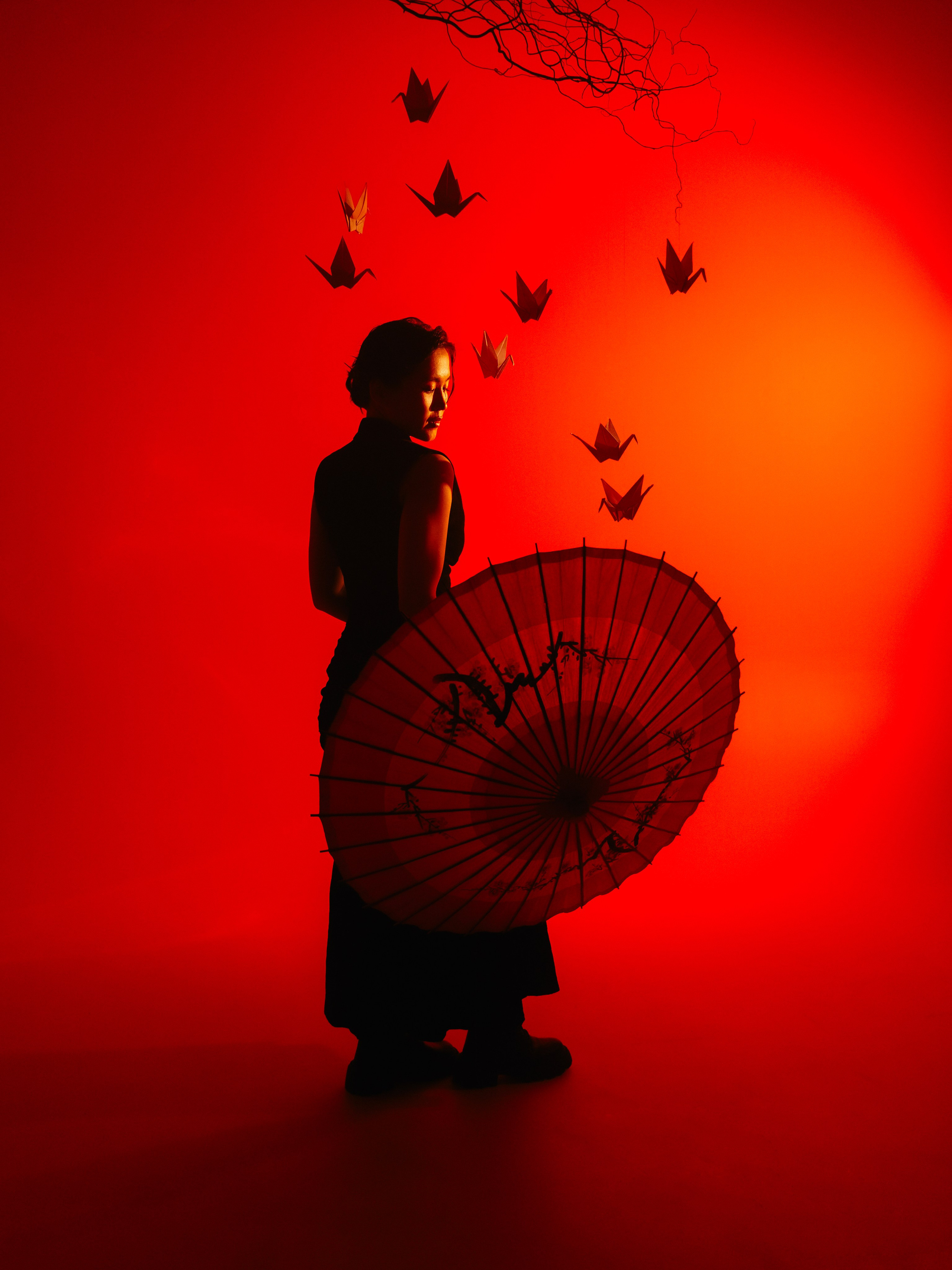 «Тени Киото»