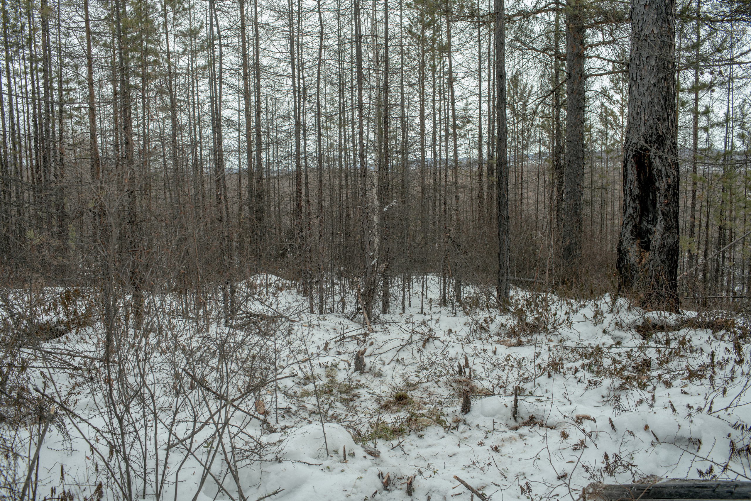 Фотопроект о семейной памяти и травме. Vasily Pindyurin visual artist