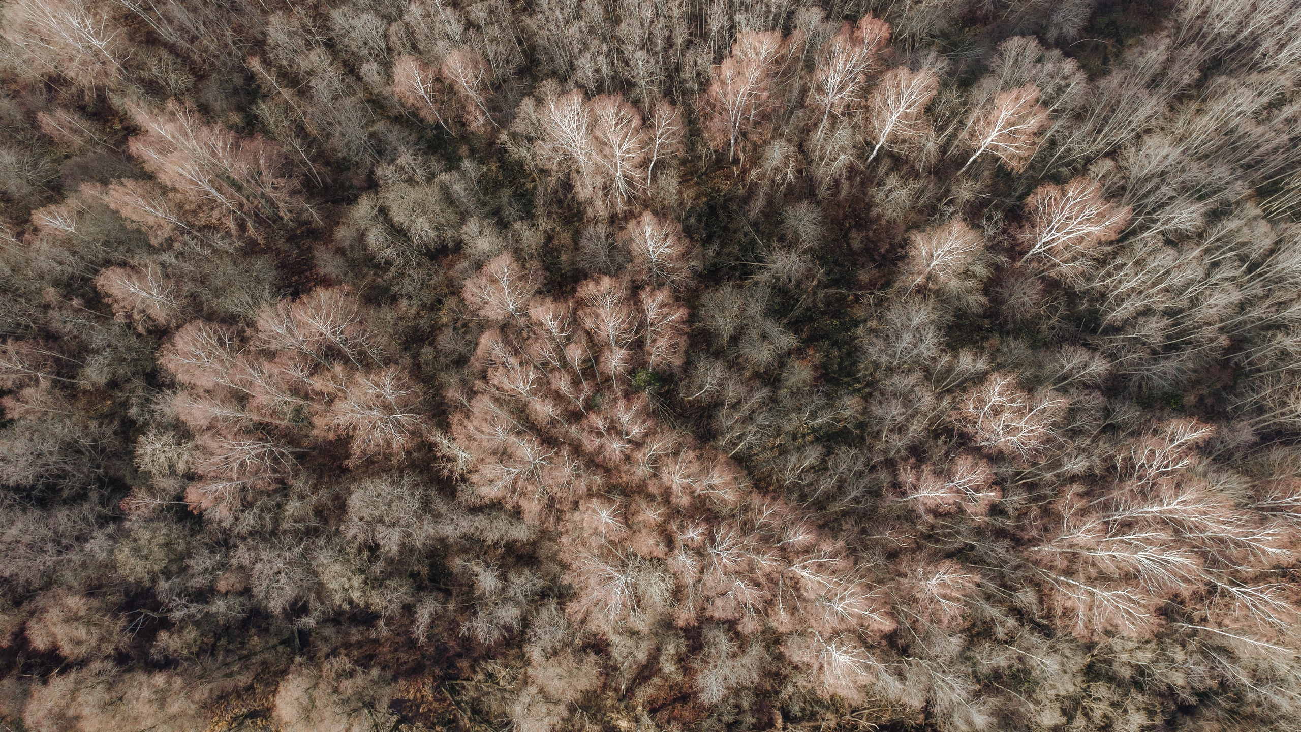 Видеография, полёты на дроне по живописным местам России!. Иван Кубик — фотограф и видеограф