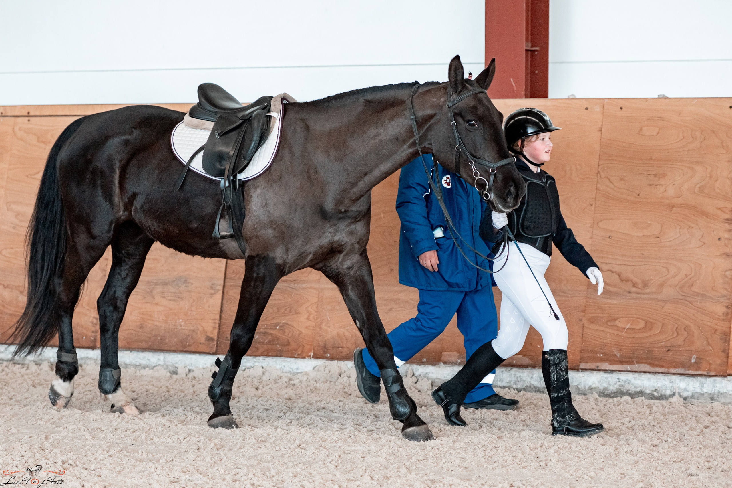 Эквипарк 6 этап Кубка Клубов. Конный и фотограф с животными в Твери Топталова Люся