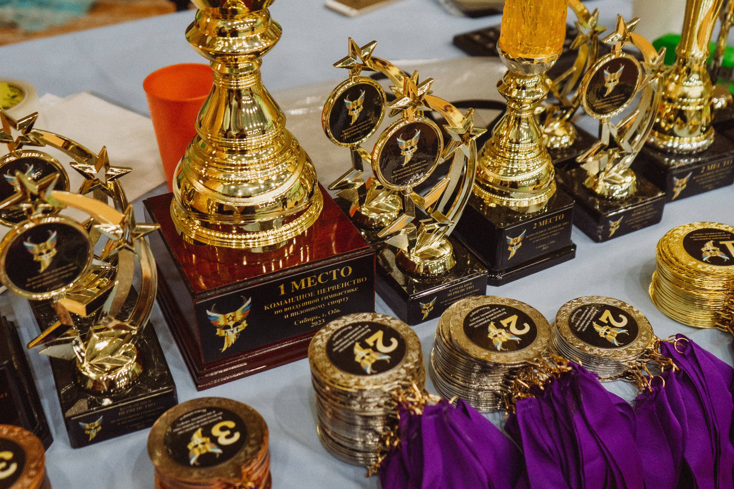 Командное Первенство — День 1. Воробьева Ксения — Спортивный и танцевальный фотограф Новосибирск