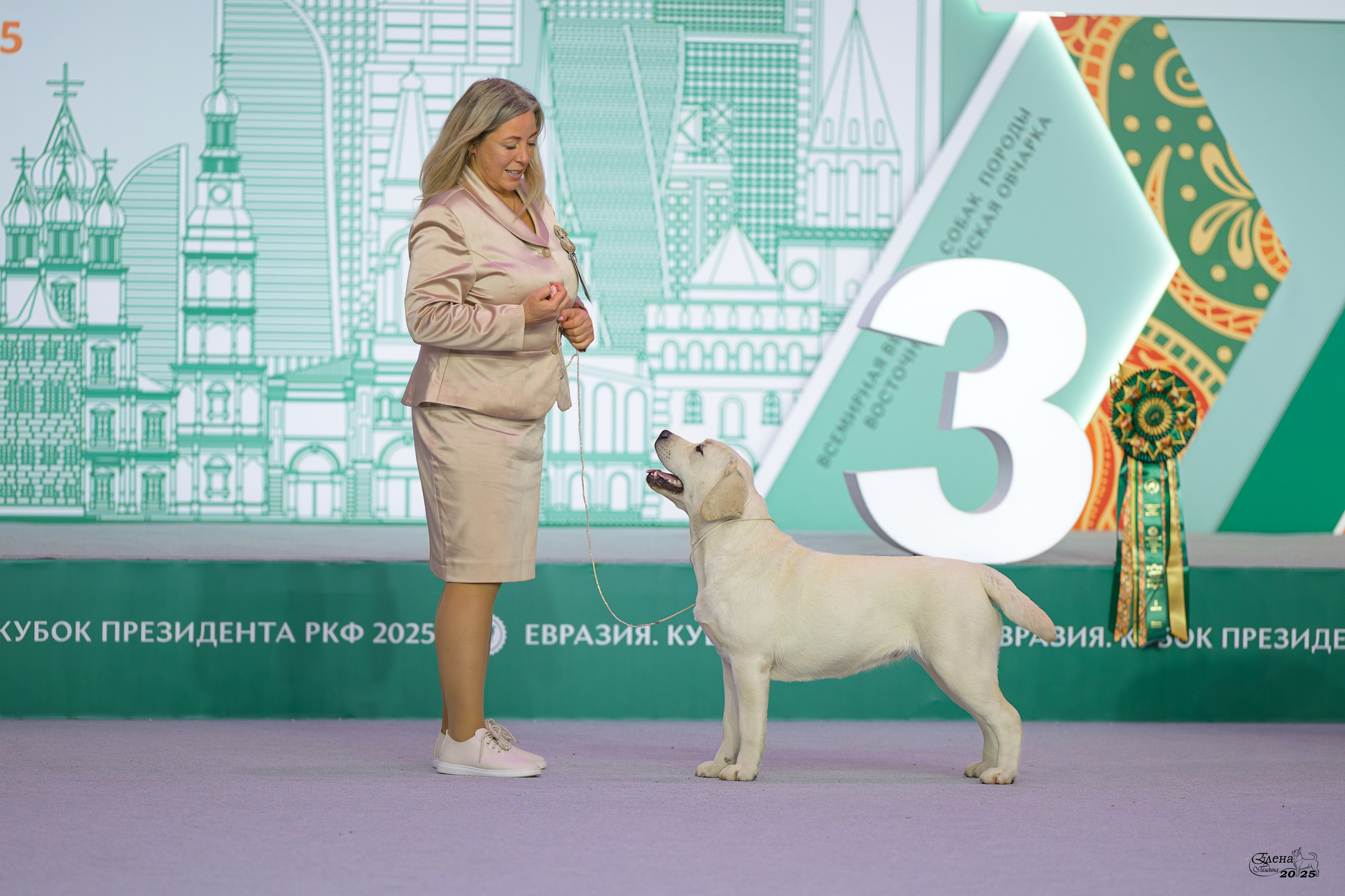 15-16.11.2025 ЕВРАЗИЯ г. Москва. Фотограф анималист Елена Галдина г. Красноярск