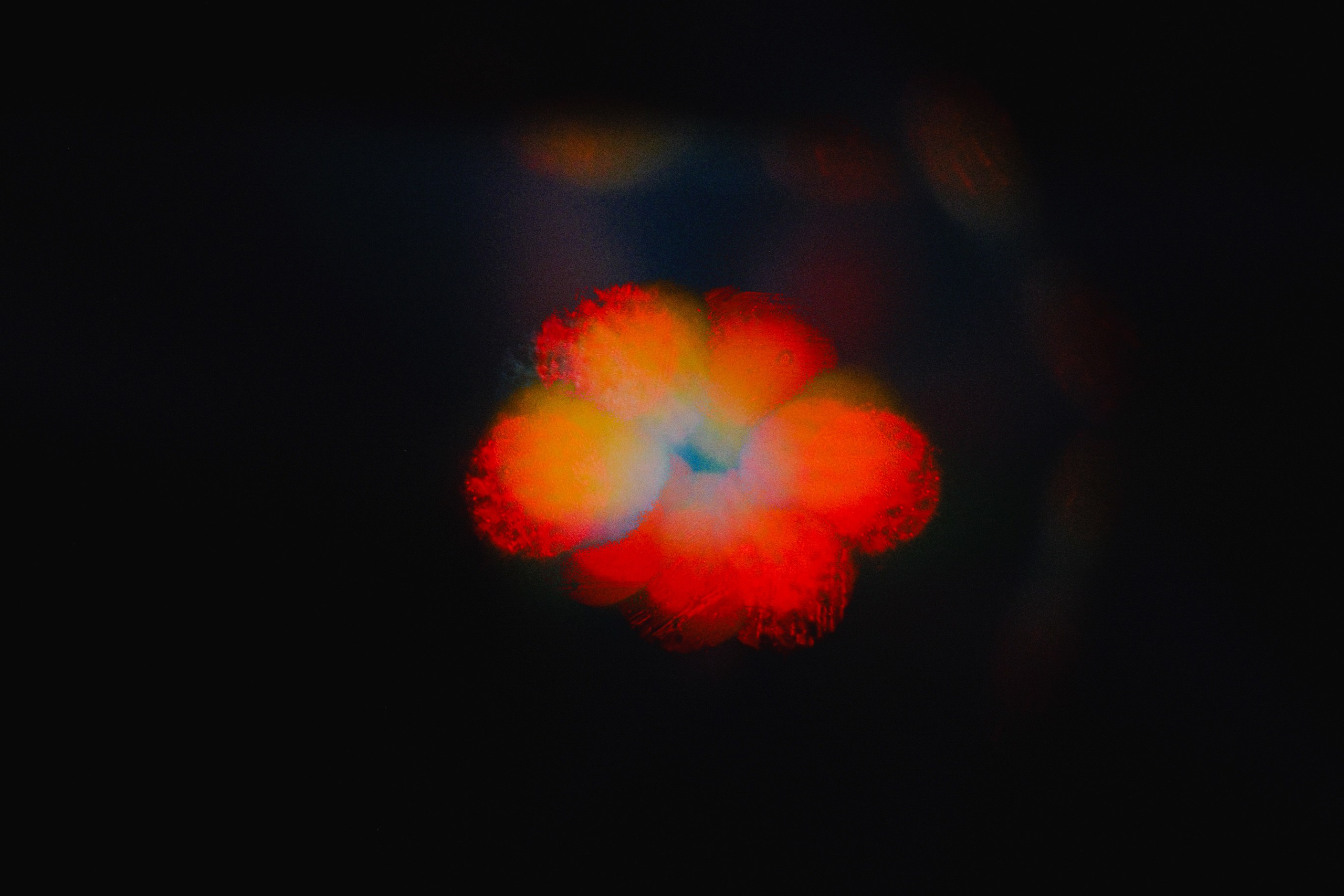 Mountain drive screensavers. Фотограф и оператор с цветным светом в Москве | Лиля Кичигина