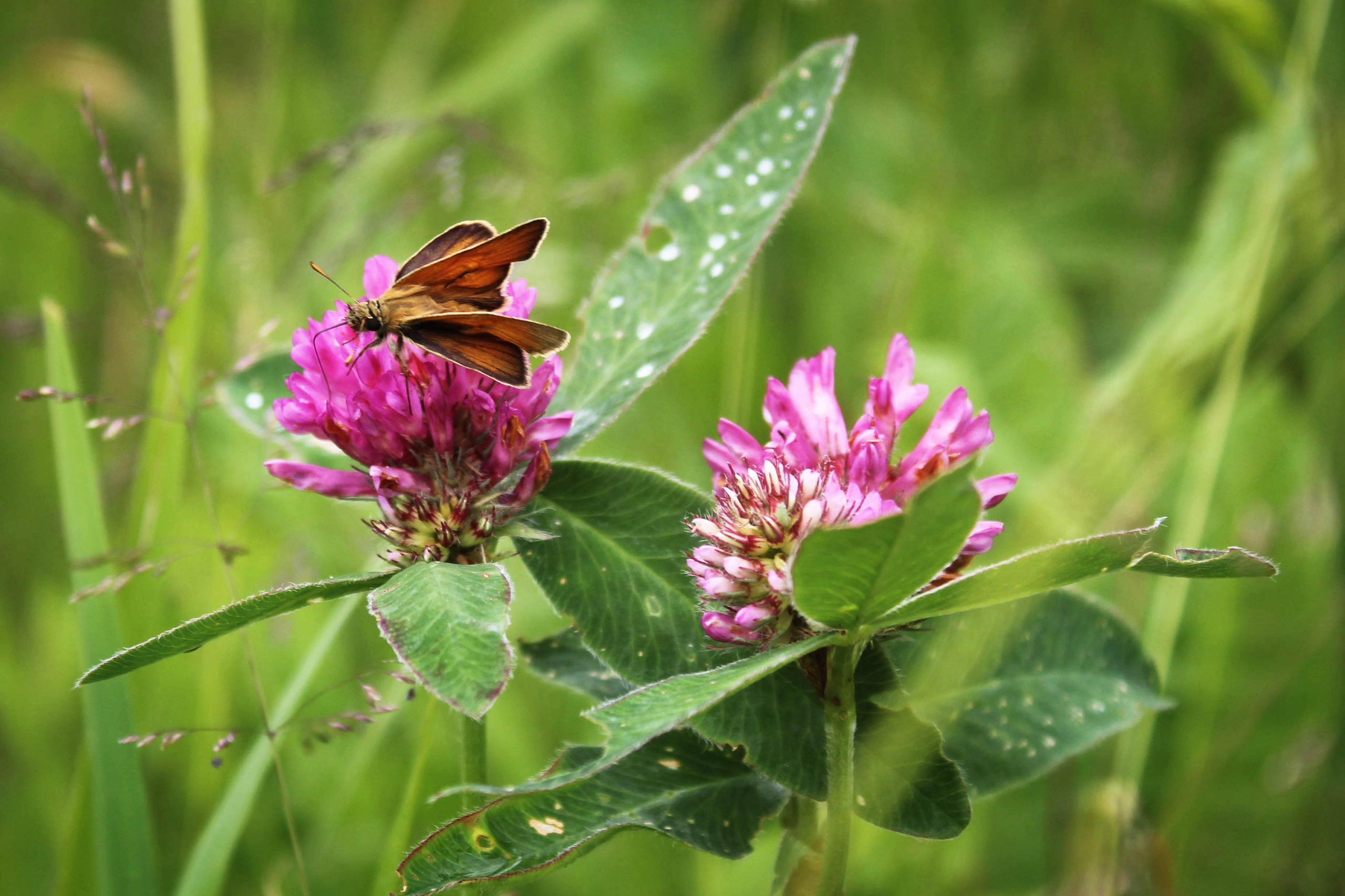 Пос. Мирный. Фотограф Ксения Монахова