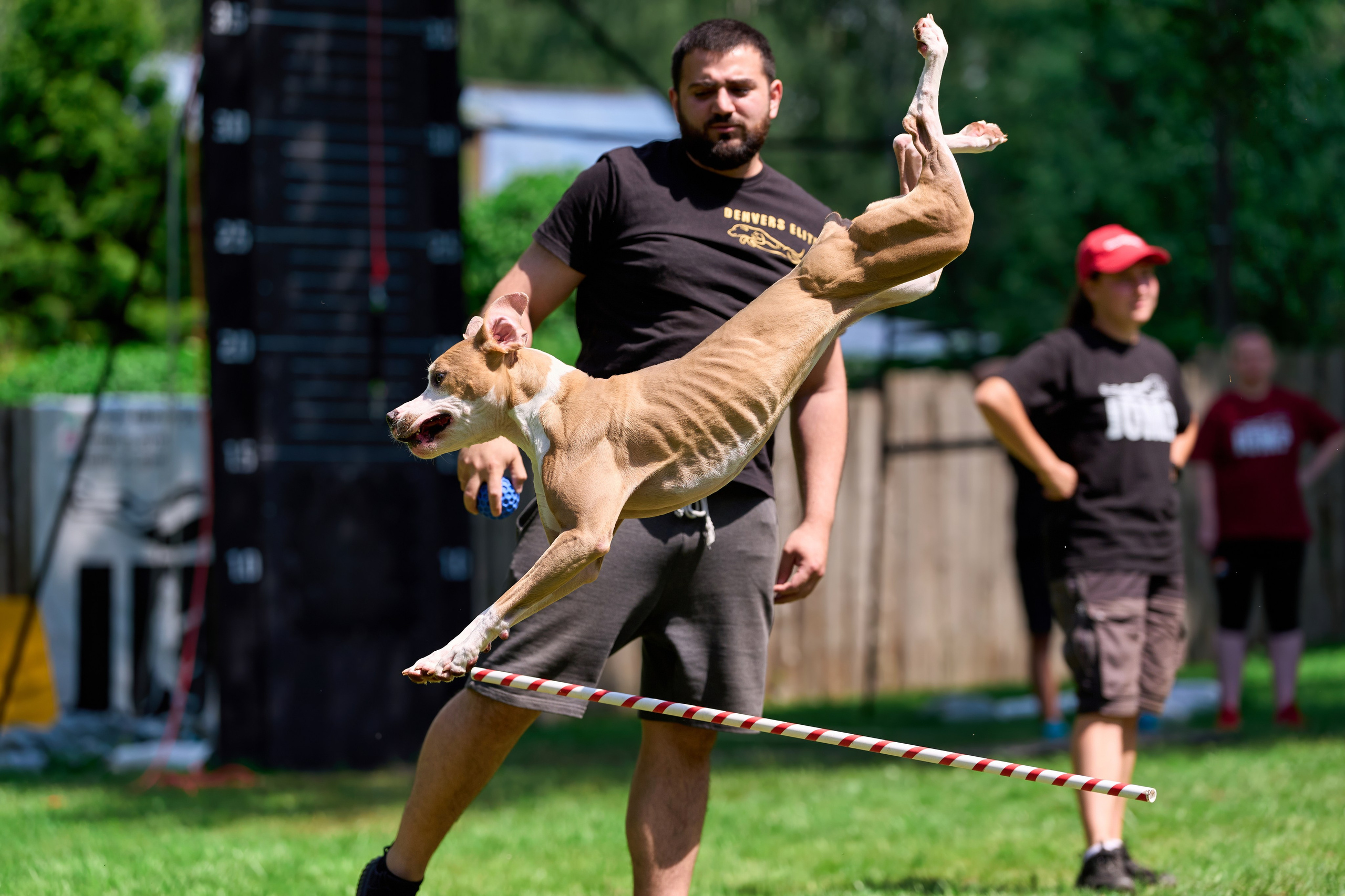 Двухдневные соревнования «Jump'n'Gym Fest — 2024». Фотограф-анималист Михаил Манухин