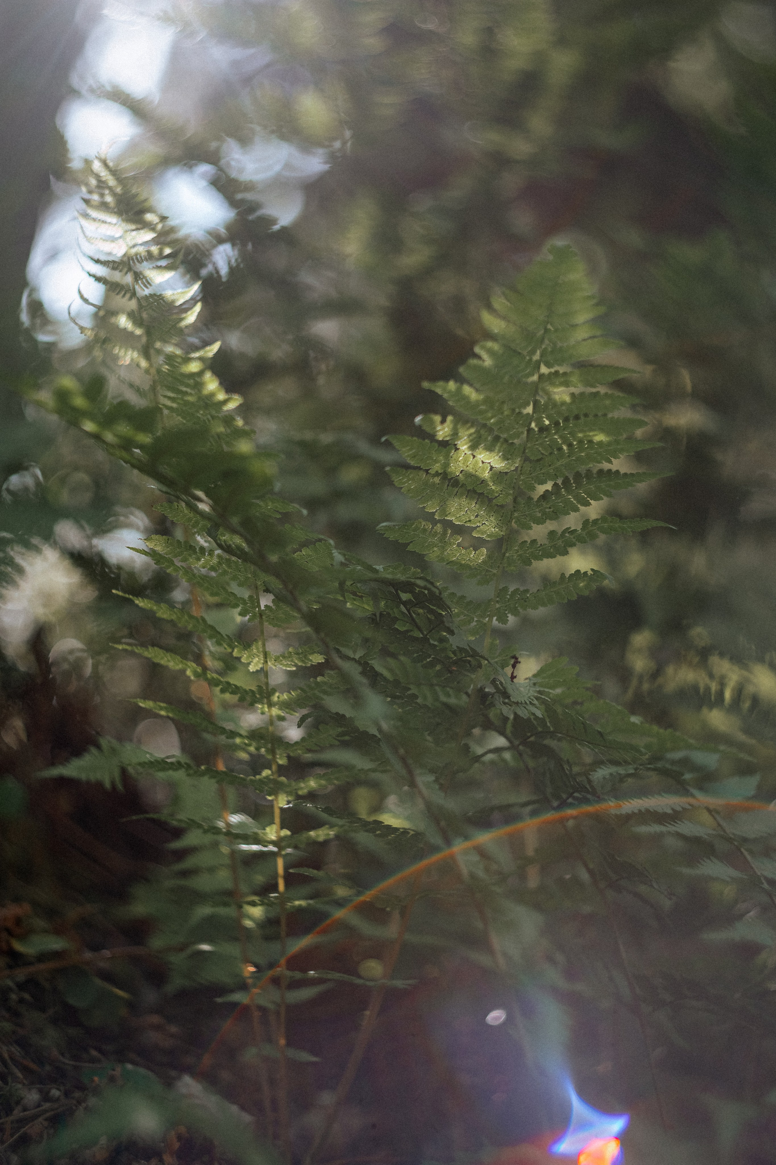 «Голливудская» связка Sony A7 III и Гелиос 44-2. Юля Дэй • Фотограф, Санкт-Петербург