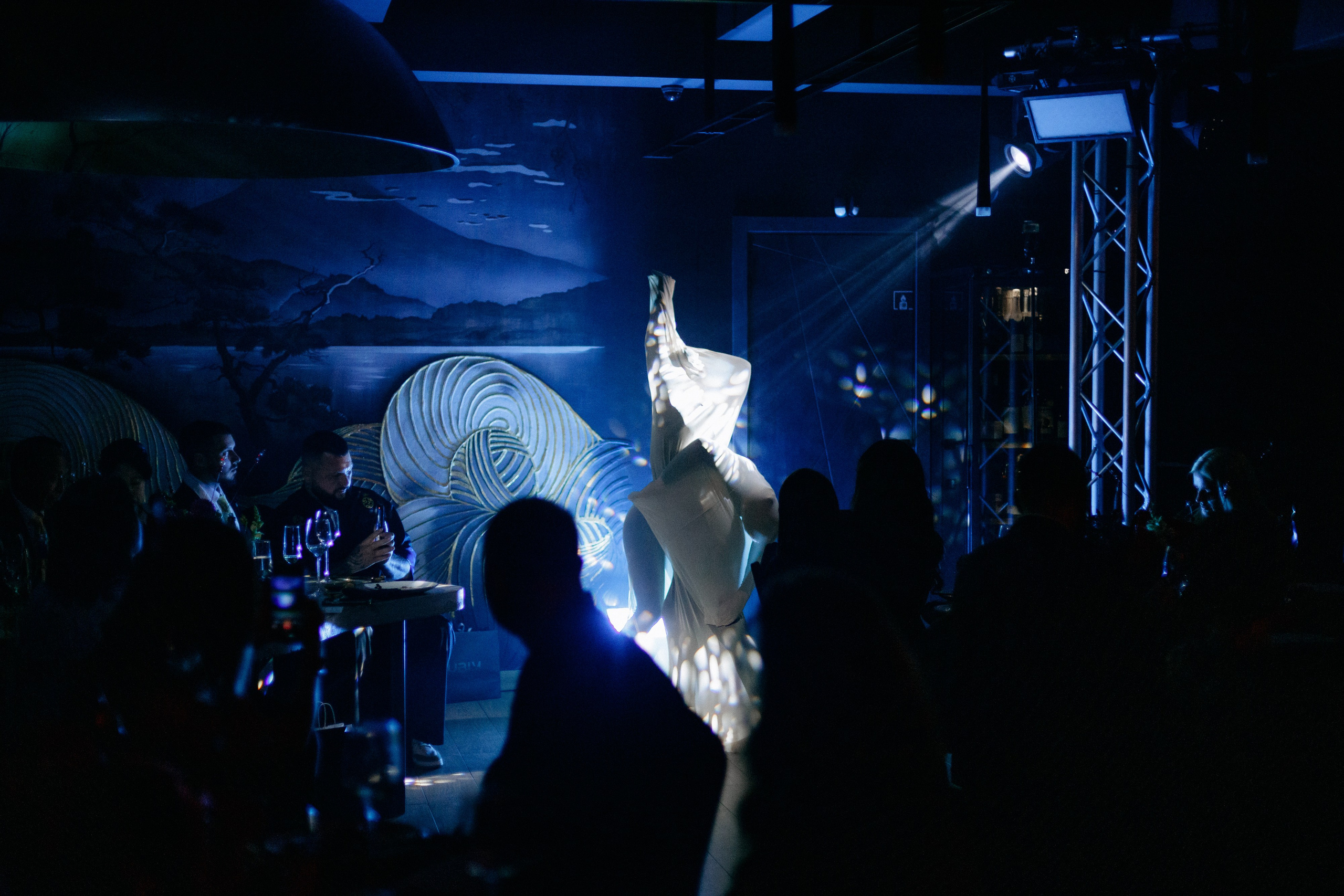 HANAMI — МЕМУАРЫ ГЕЙШИ. СВОИ. ФОТООТЧЕТЫ-СОБЫТИЯ-МЕСТА