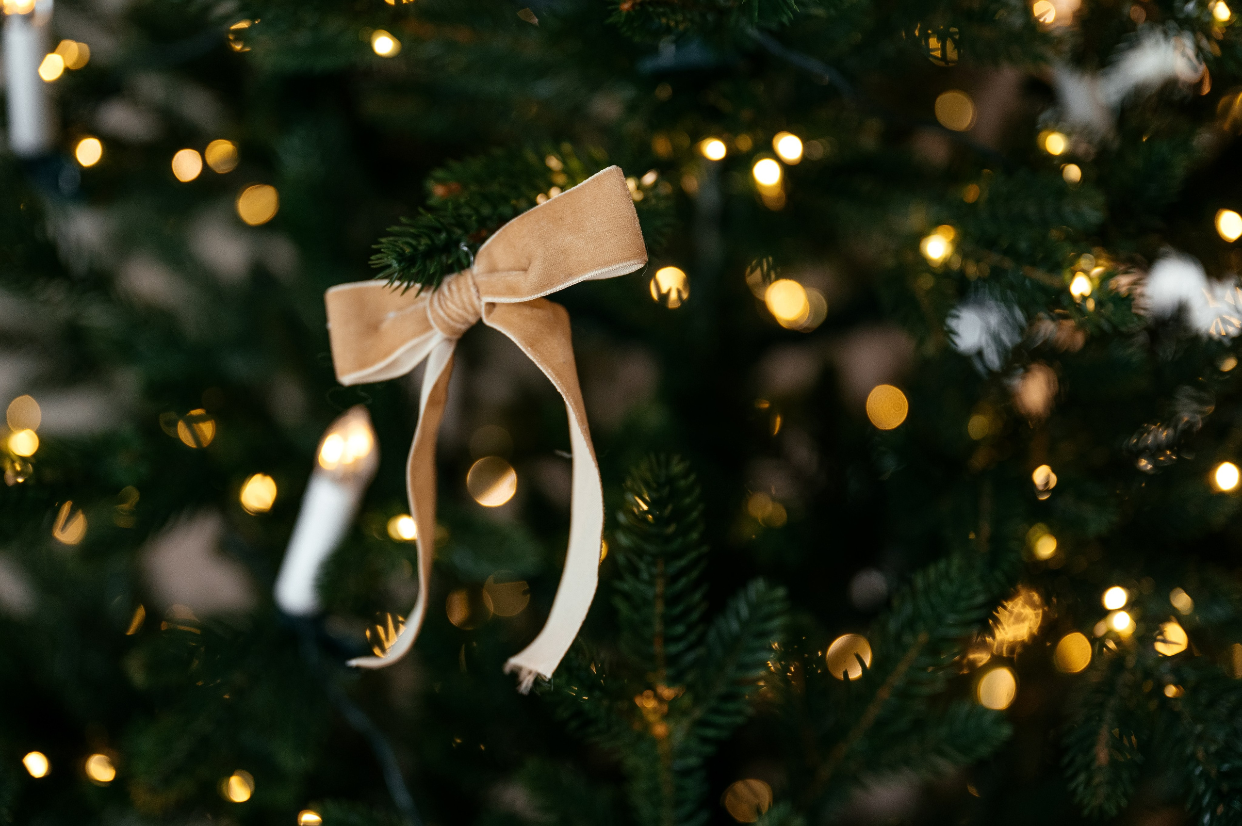 Семейная фотосессия в Домике Элли на новый год. Свадебный и семейный фотограф Виктория Носачёва. Щелково, Москва и МО