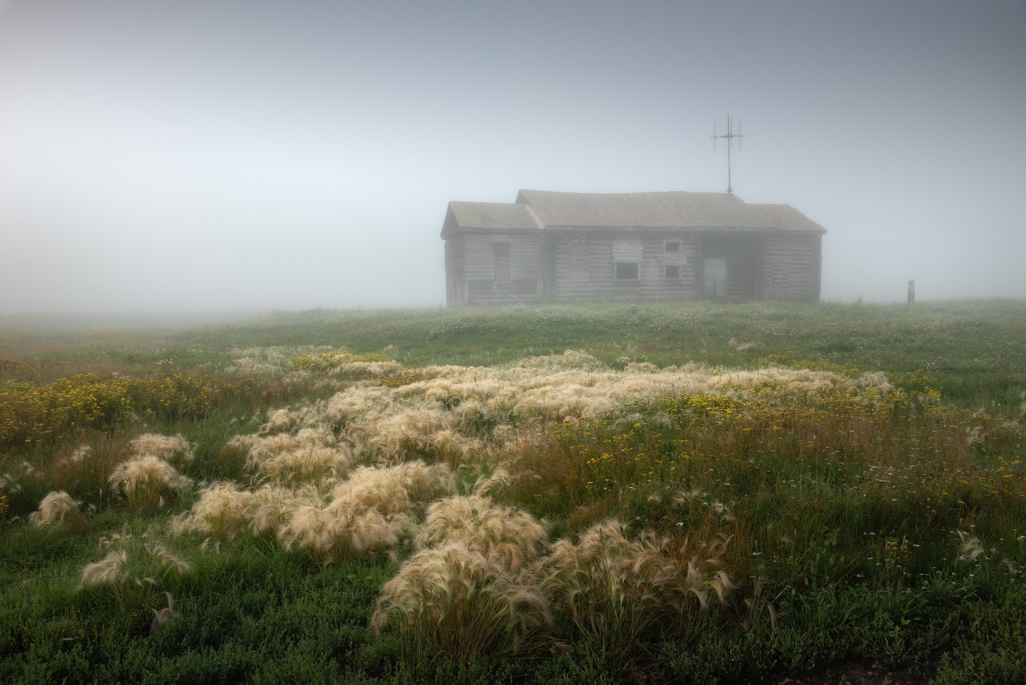 Тигирекский Сайлент-Хилл. Посёлок Тигирек, охранная зона Тигирекского заповедника, Краснощёковский район, июль 2024