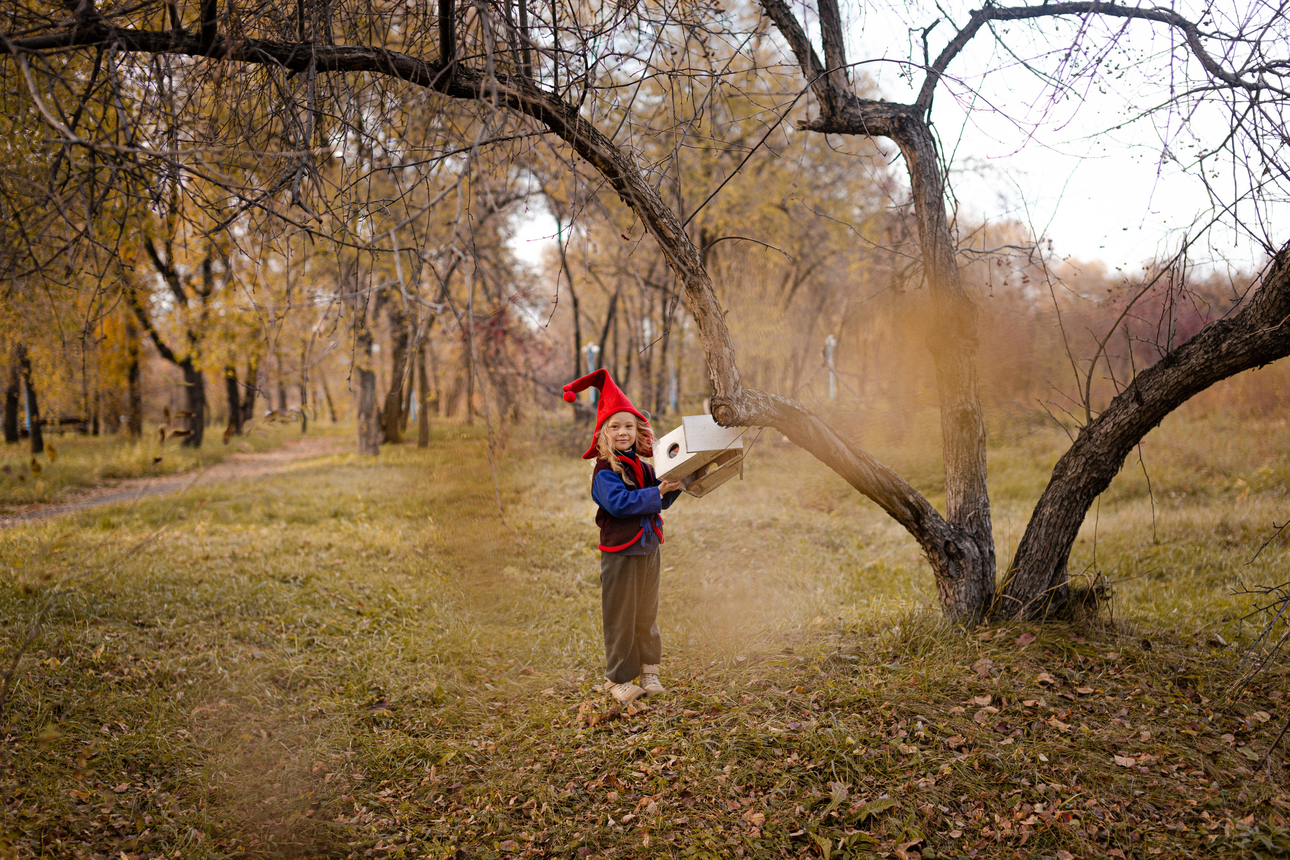 Лесные гномы