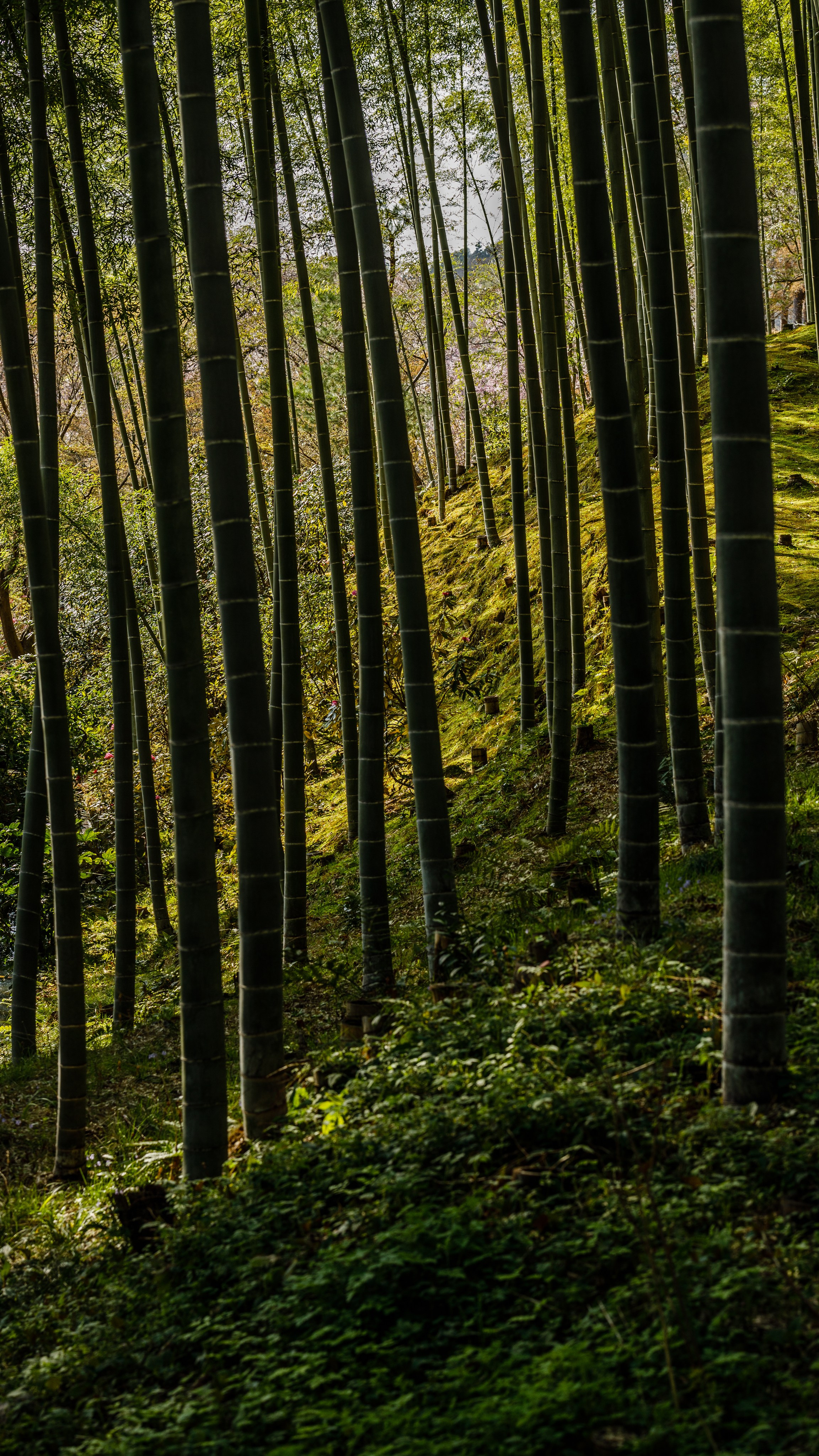 Турецкие приключения: Каппадокия + Ликийская тропа. Свадебный и Студийный фотограф из Казахстана Артем Орлянский