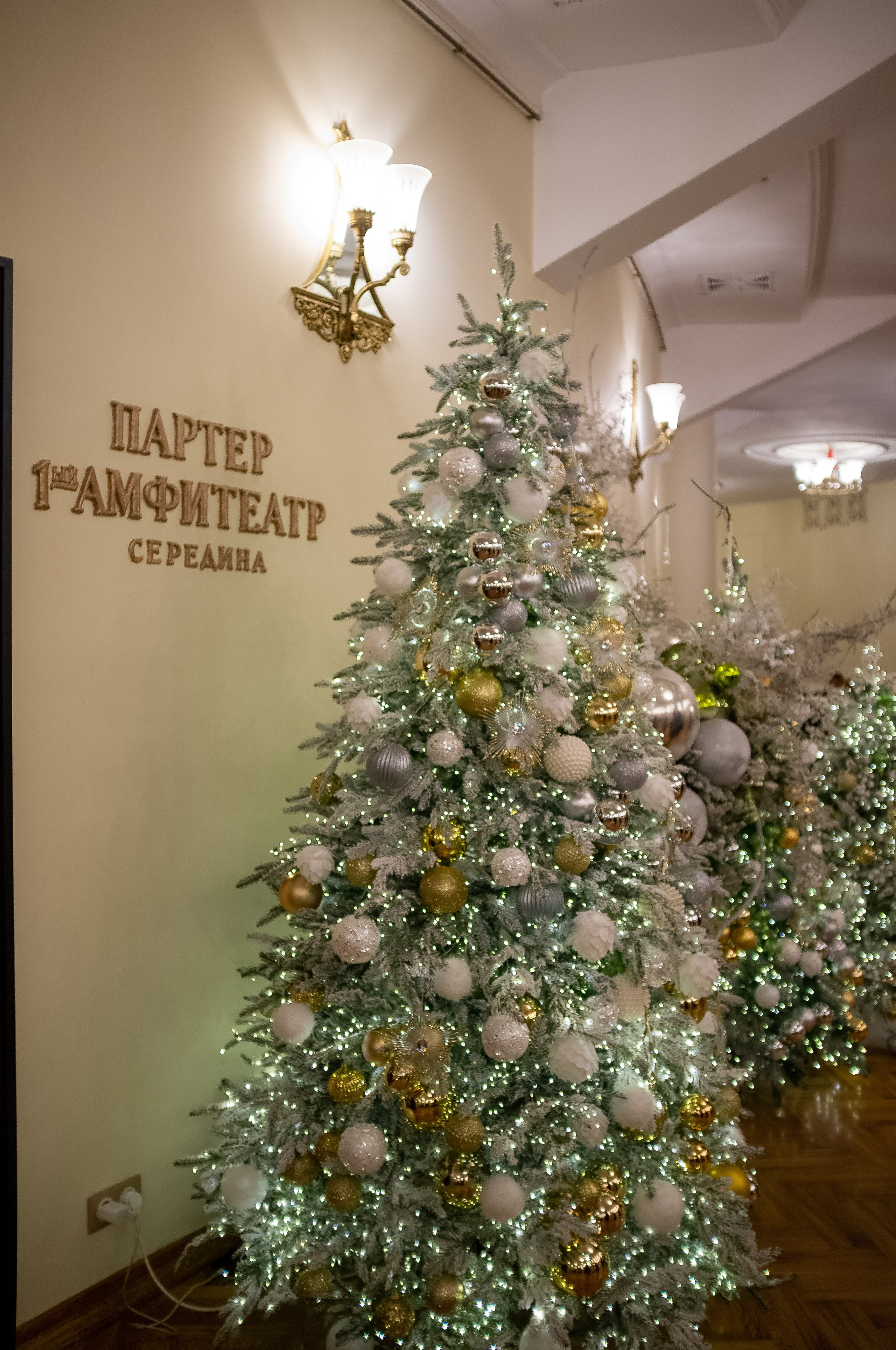 Новогодний вечер. Итальянка в Алжире. Искусство фотографии. Мария Осокина