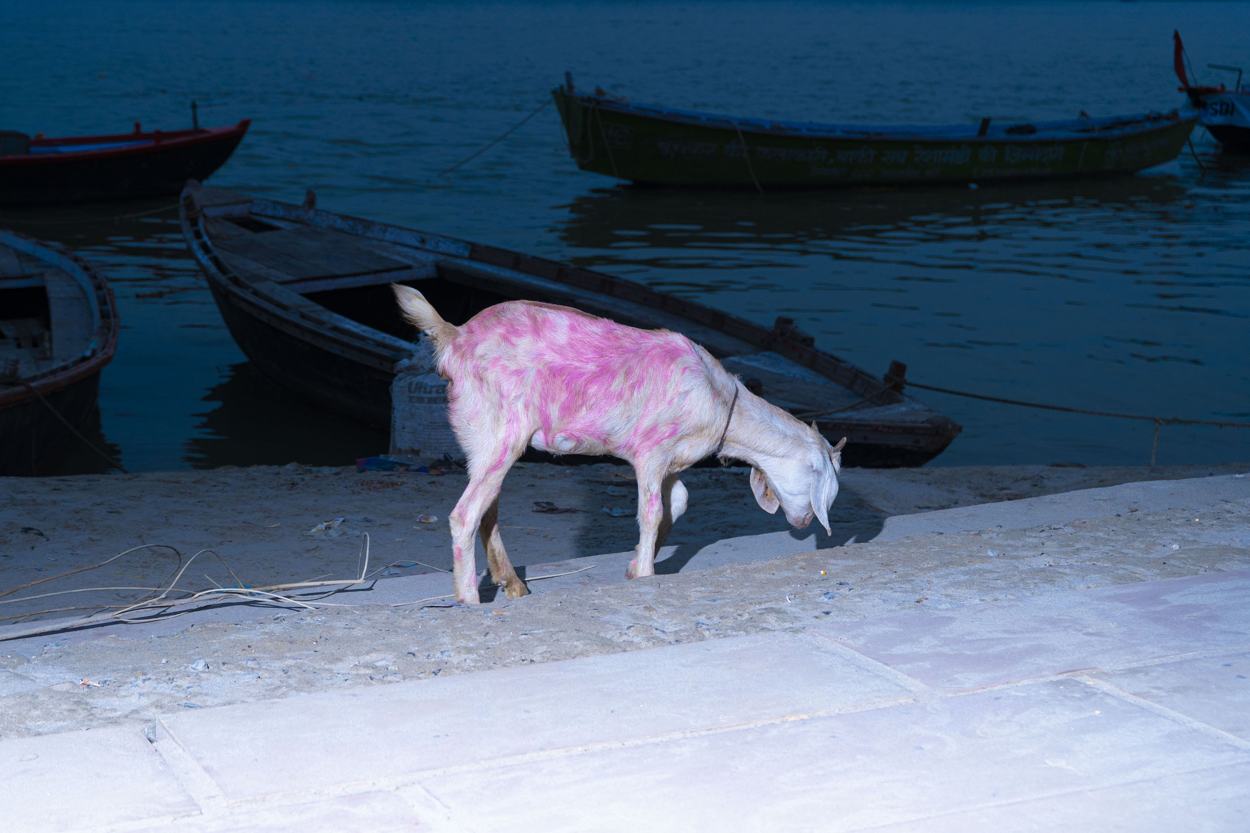 The Current That Carries Away. Alena Ahmadullina