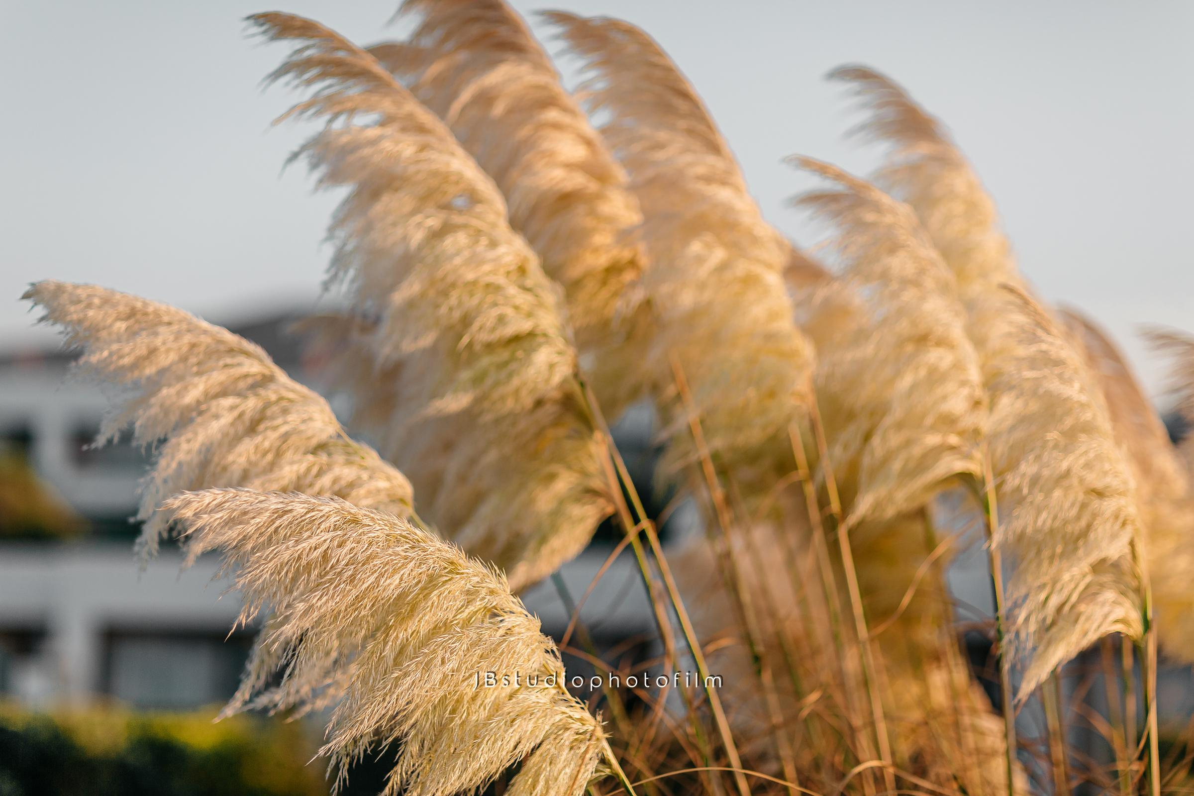 E & A (love story) — couple photography. Photographer Videographer Filmmaker| Фотограф Видеограф Фильммейкер