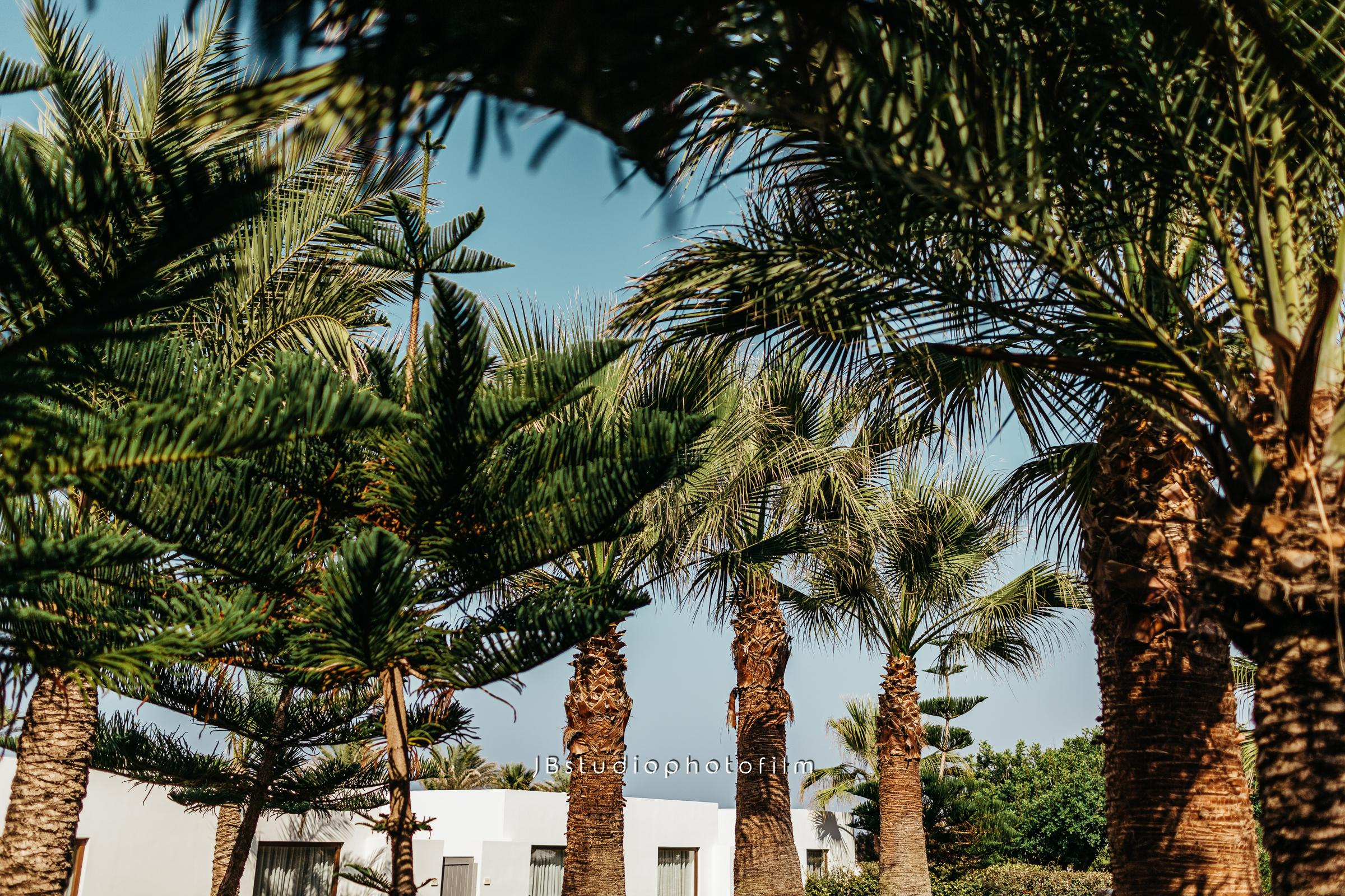 E & A (love story) — couple photography. Photographer Videographer Filmmaker| Фотограф Видеограф Фильммейкер