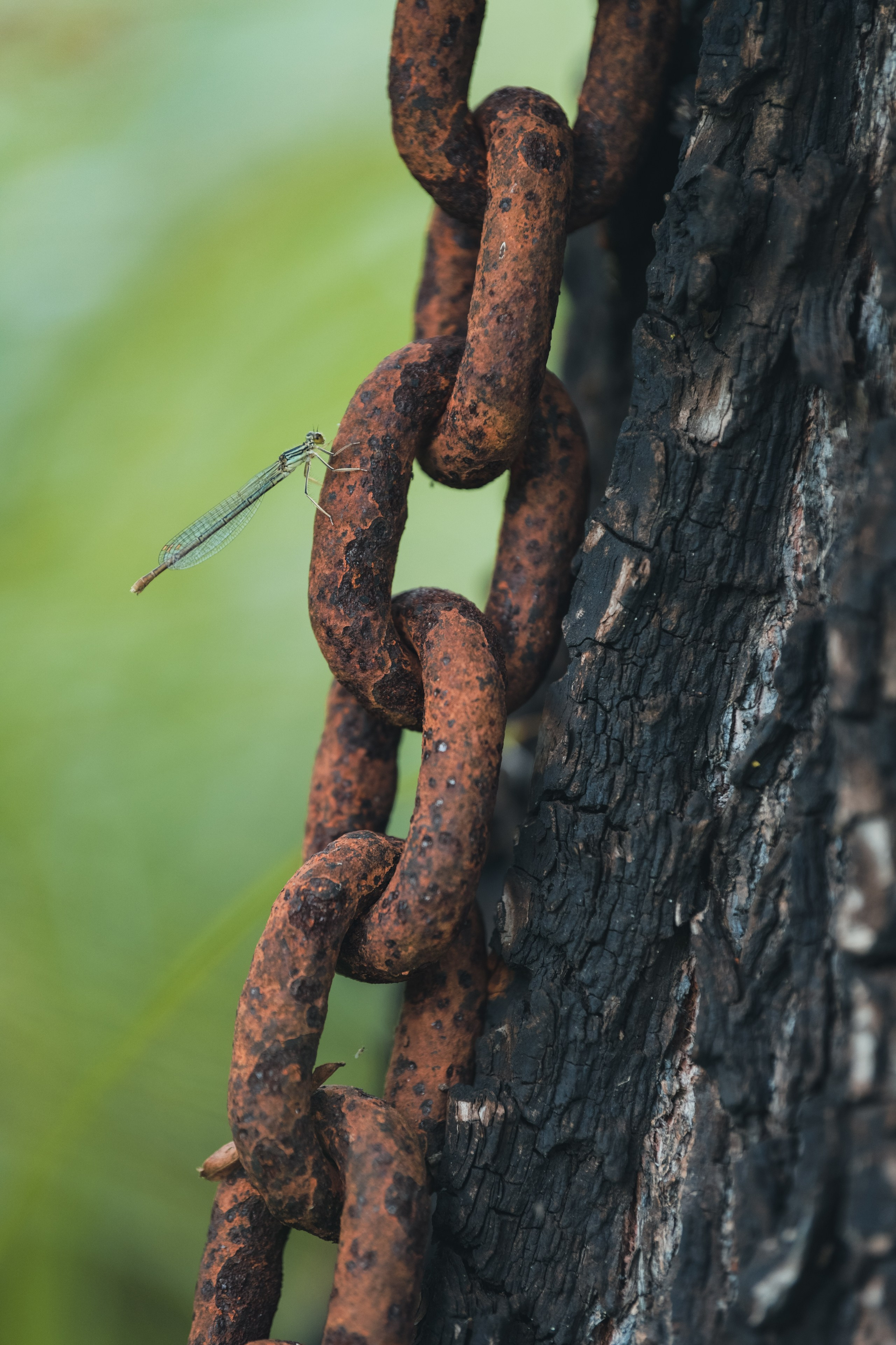 Репортажный фотограф Владимир Беляй