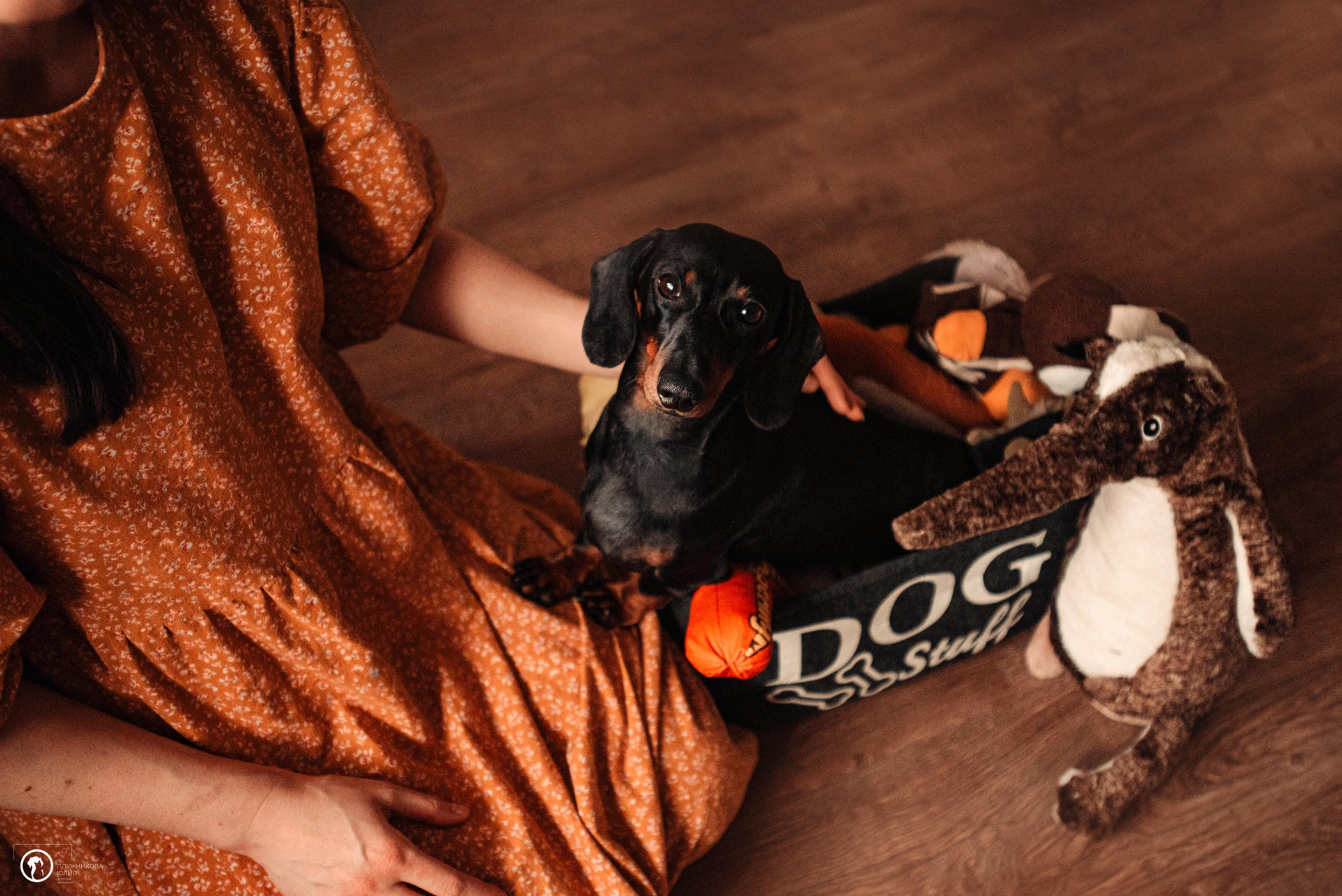 Таня и Грант. Фотограф — анималист Саратов/Москва|Плужникова Юлия