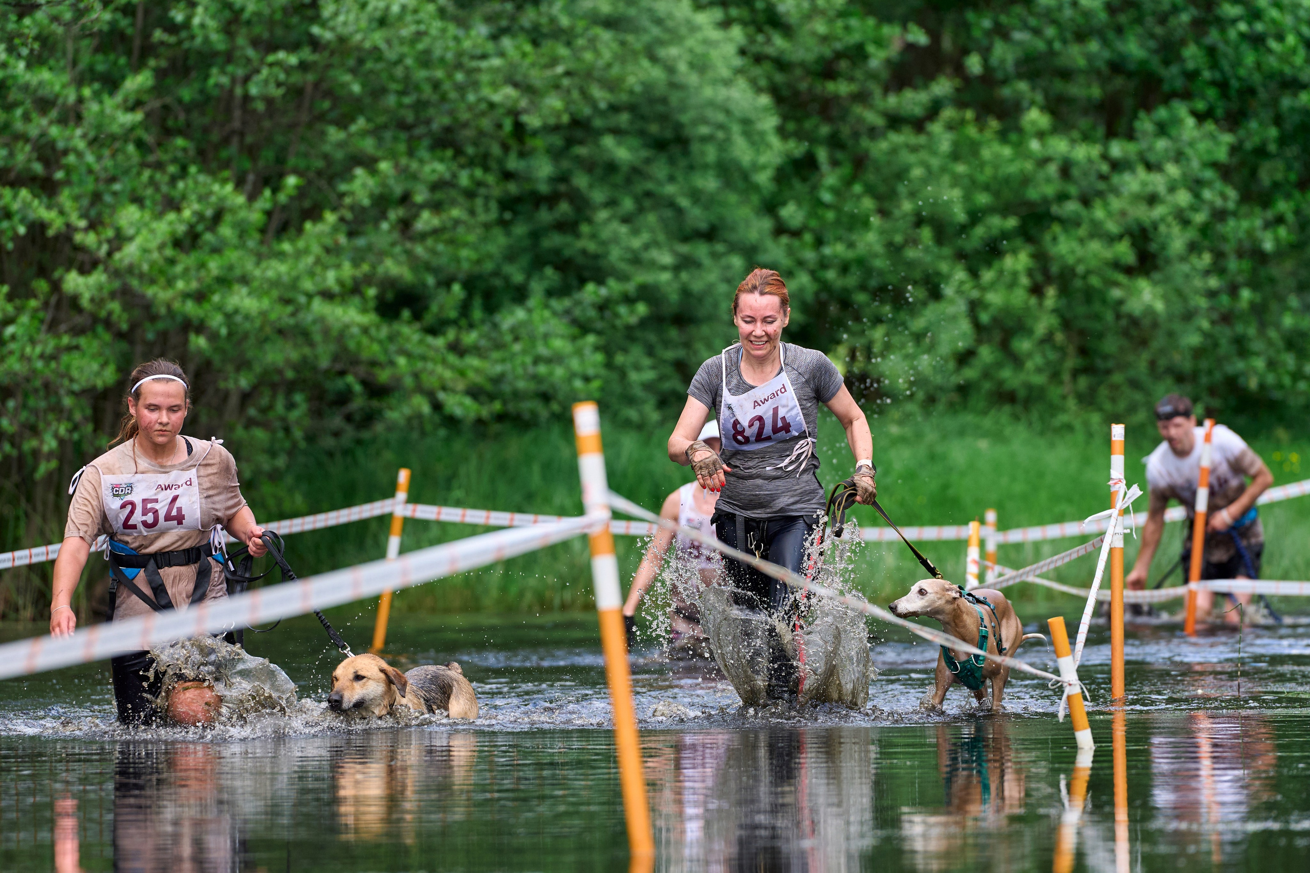 Хвостатый драйв — 2024. Фотограф-анималист Михаил Манухин