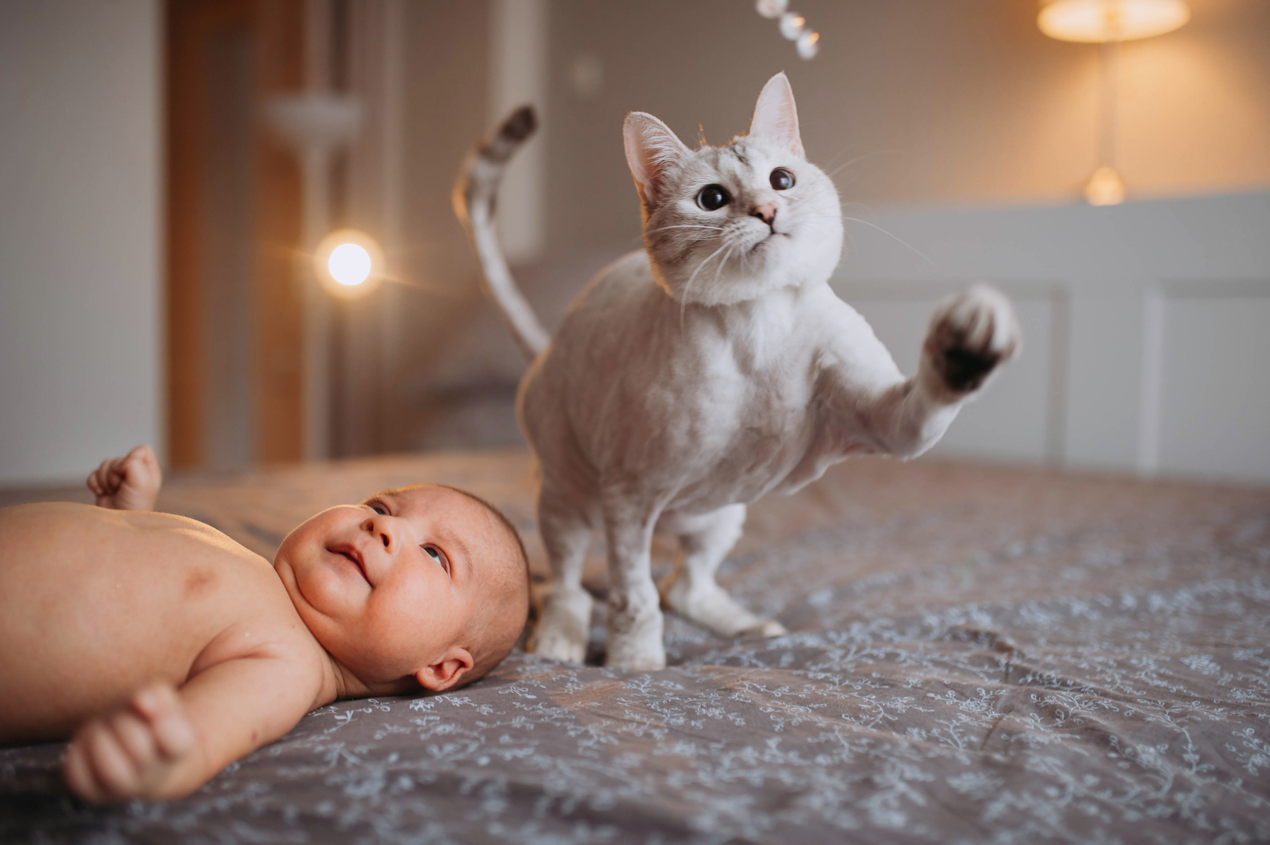 Съемка у вас дома. Фотограф на Крещение