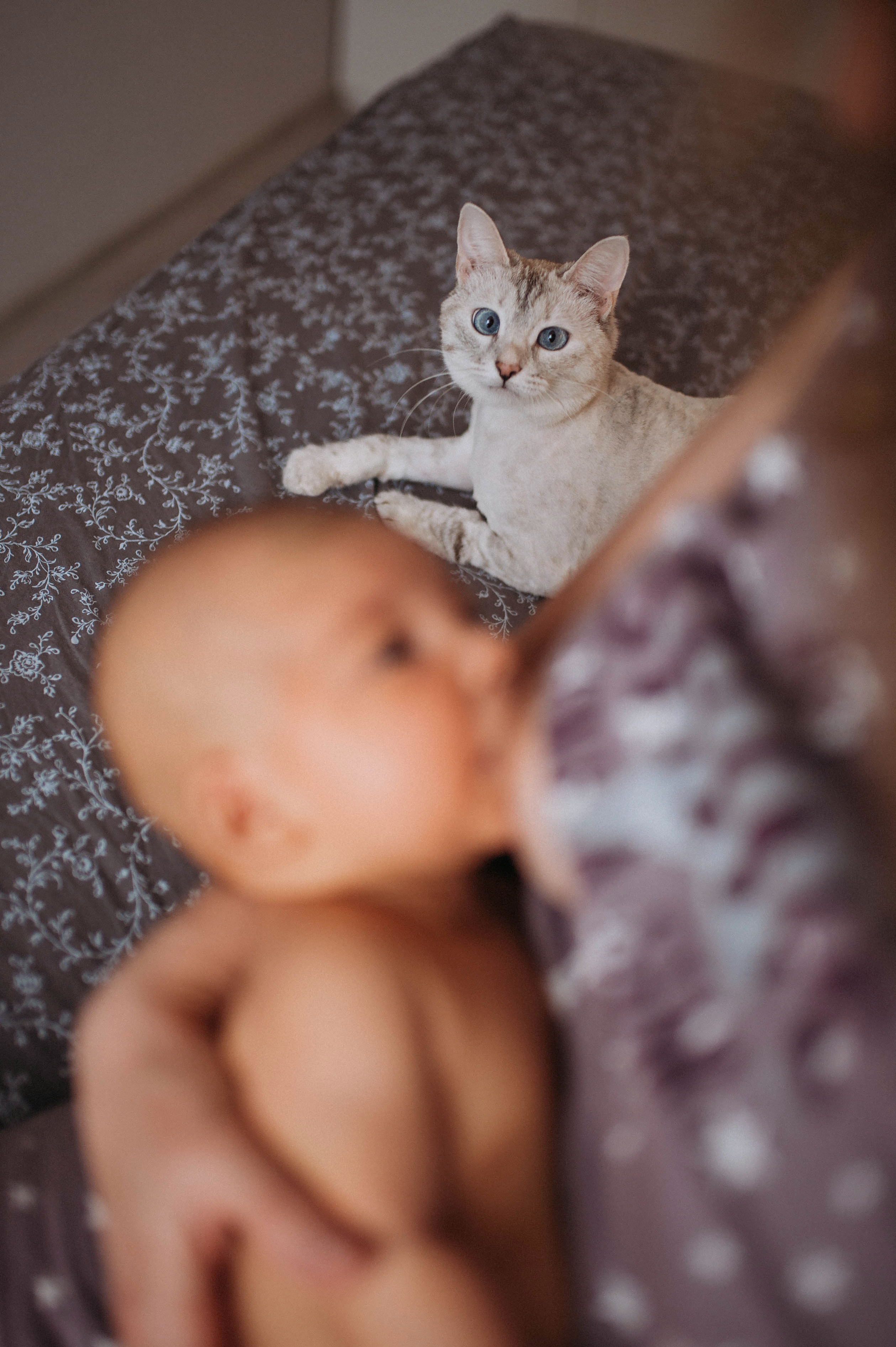 Съемка у вас дома. Фотограф на Крещение