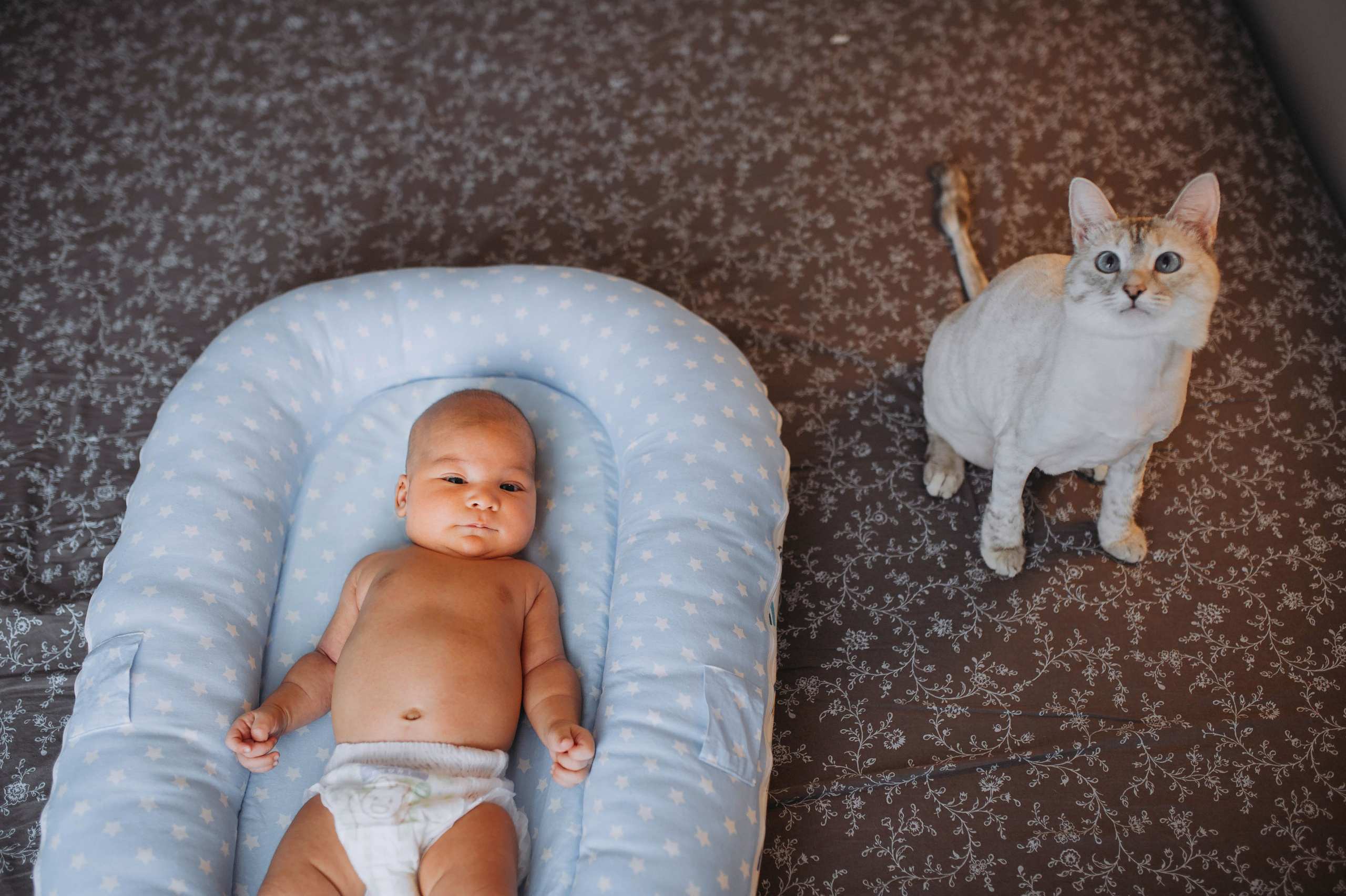 Съемка у вас дома. Фотограф на Крещение