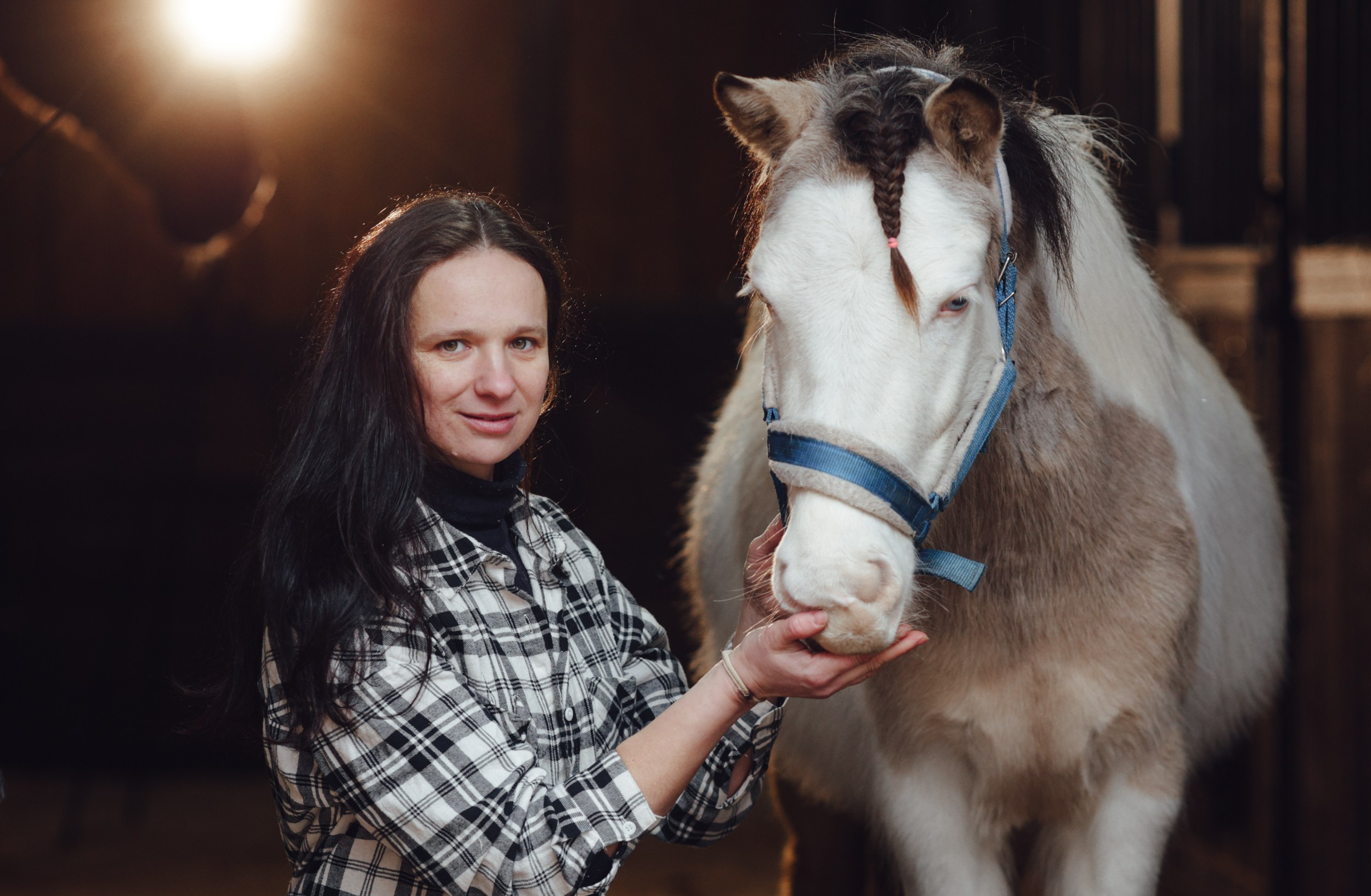 Бамблби. Фотограф Варвара Ермоленко