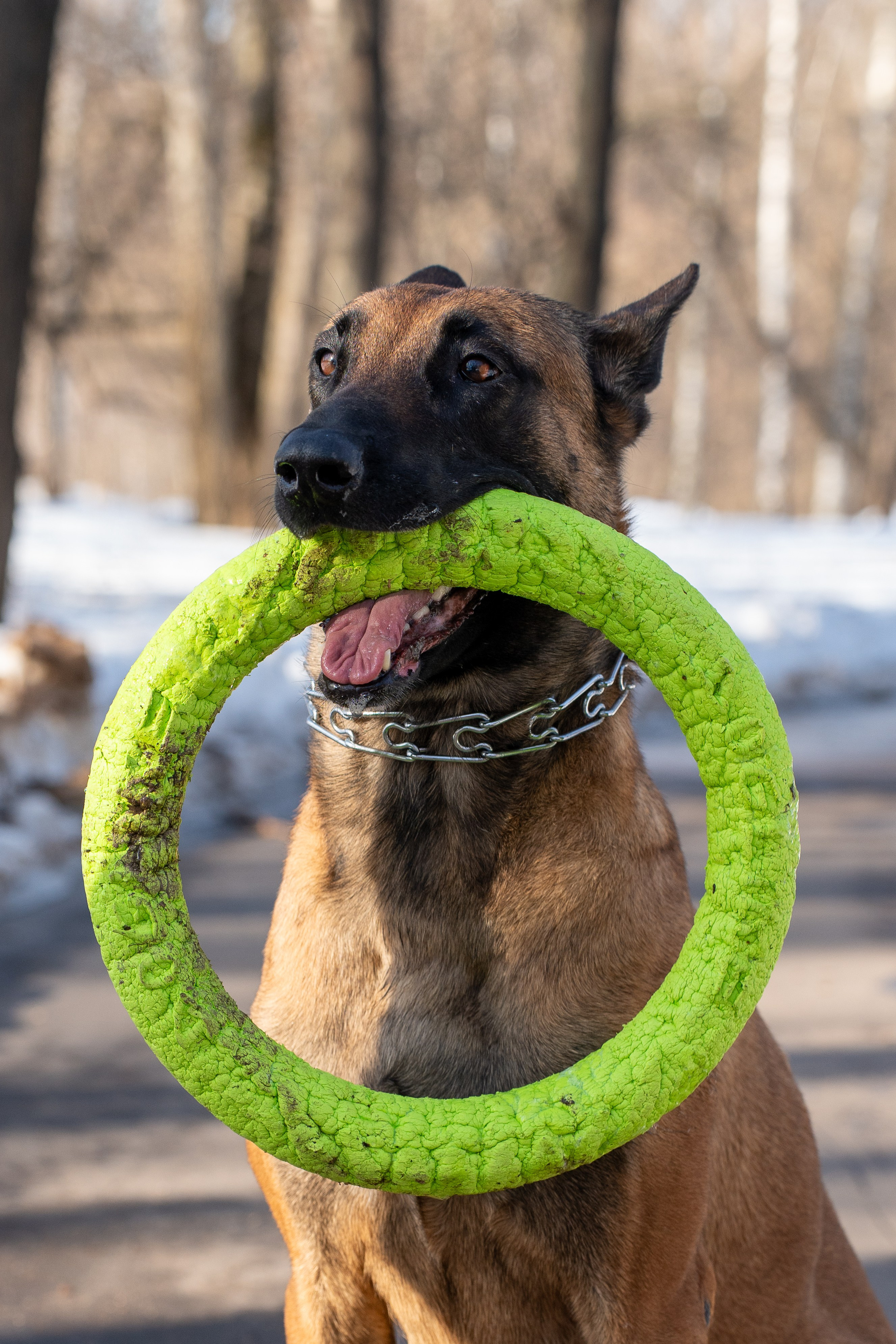 Фотограф Алиса Счастливая | Свадьбы, дети, спорт | Москва