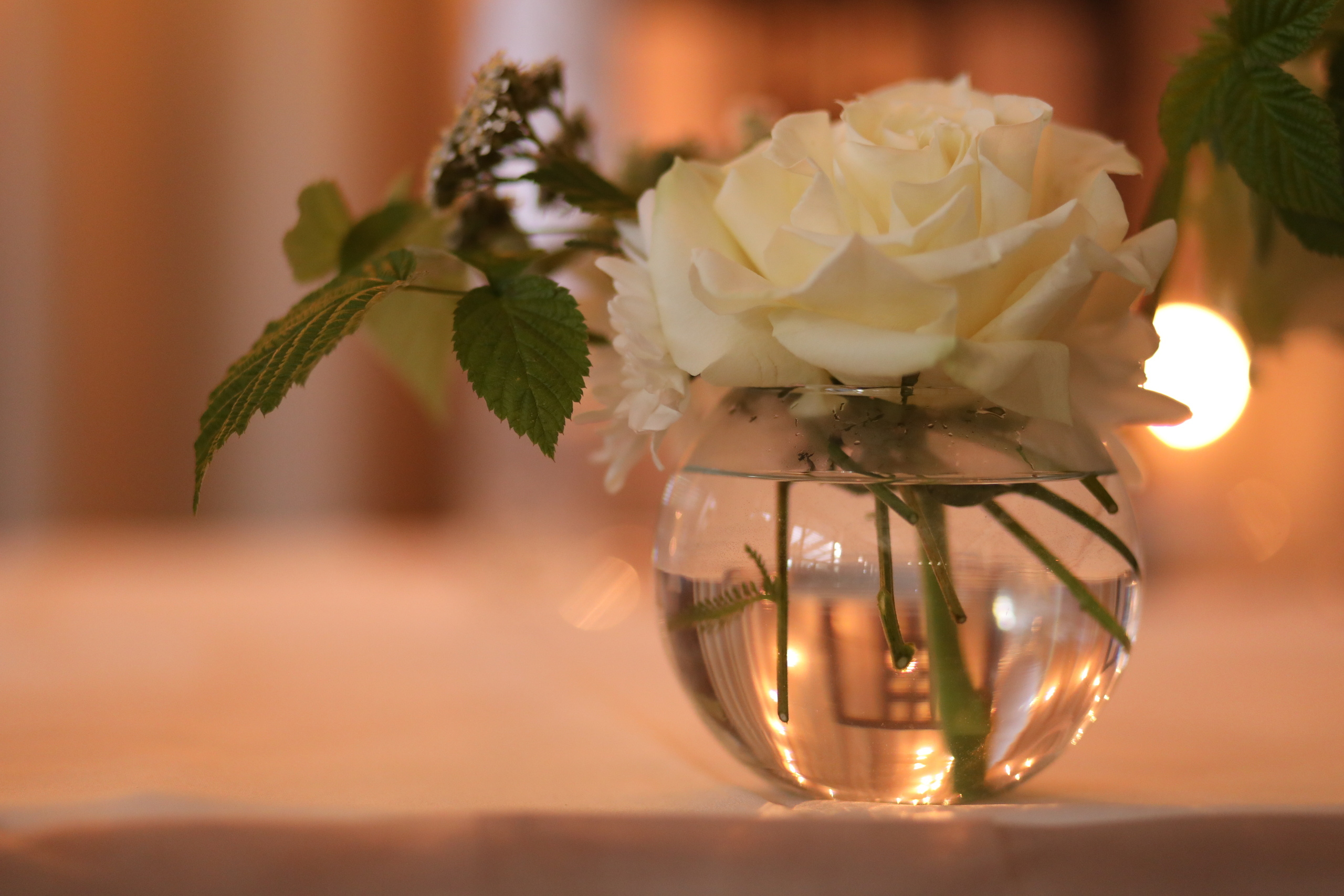 Что дальше???. Свадебный и портретный фотограф в Нижнем Новгороде Дарья Воронова