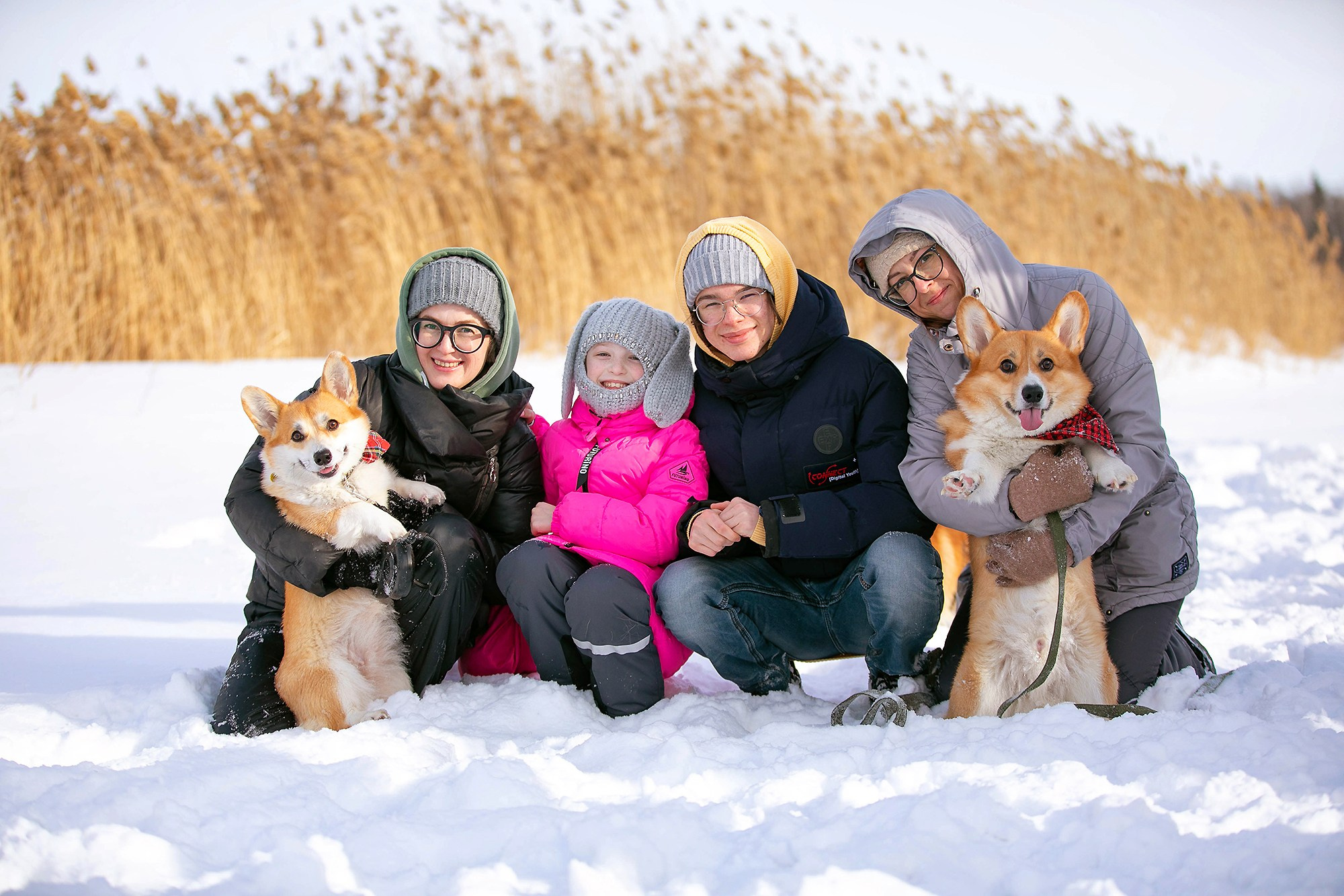 Корги-туса. Фотограф-анималист в Омске Екатерина Маричева