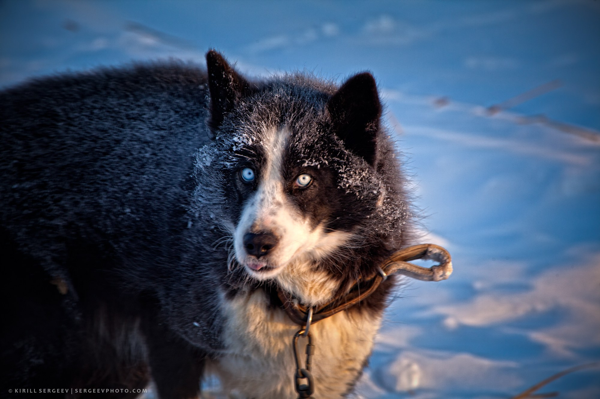 Yakutiya. Photographer Kirill Sergeev | Moscow