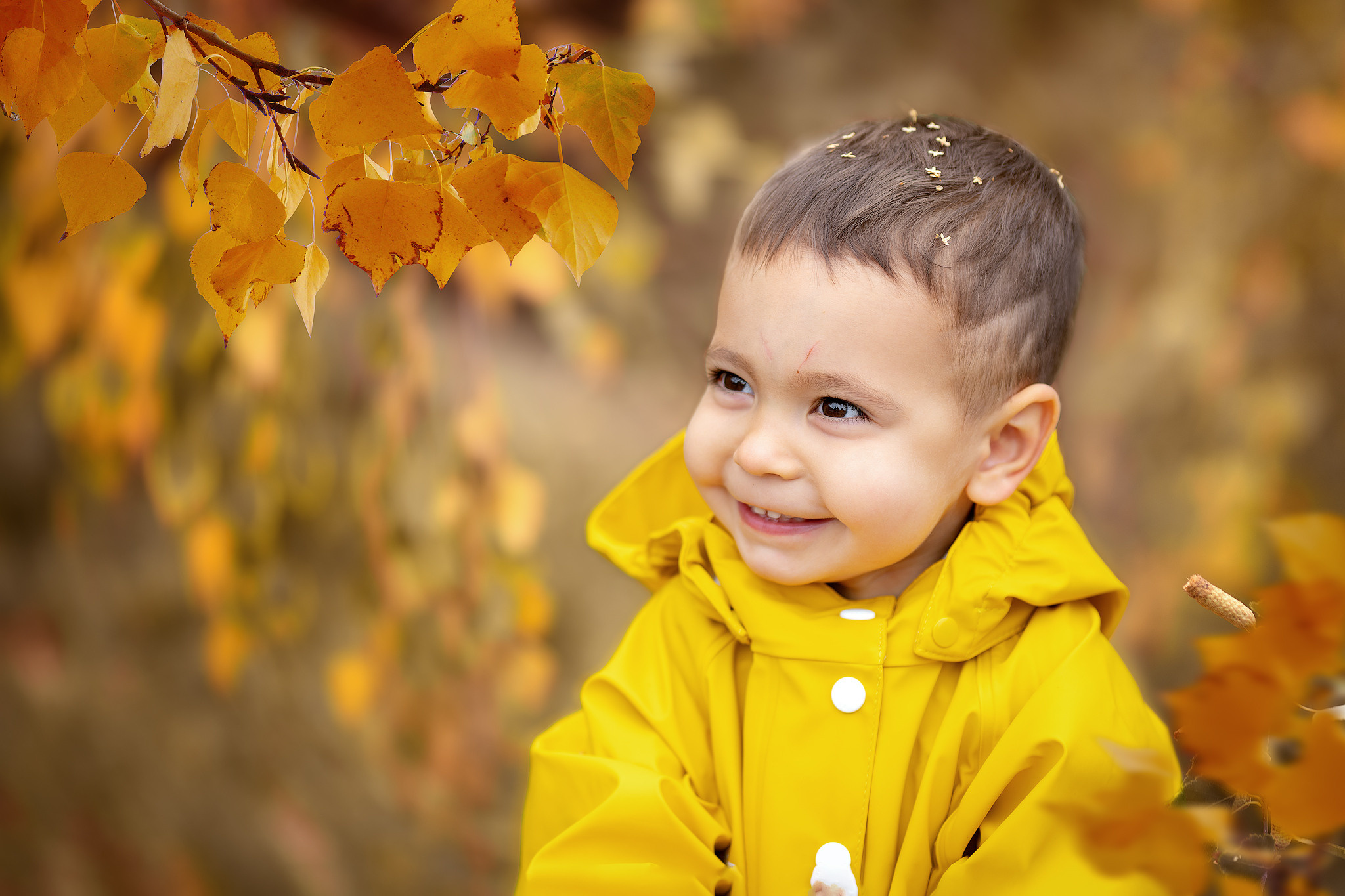 Знакомство. Семейный и детский фотограф в Ростове-на-Дону и области Елена Абрамова