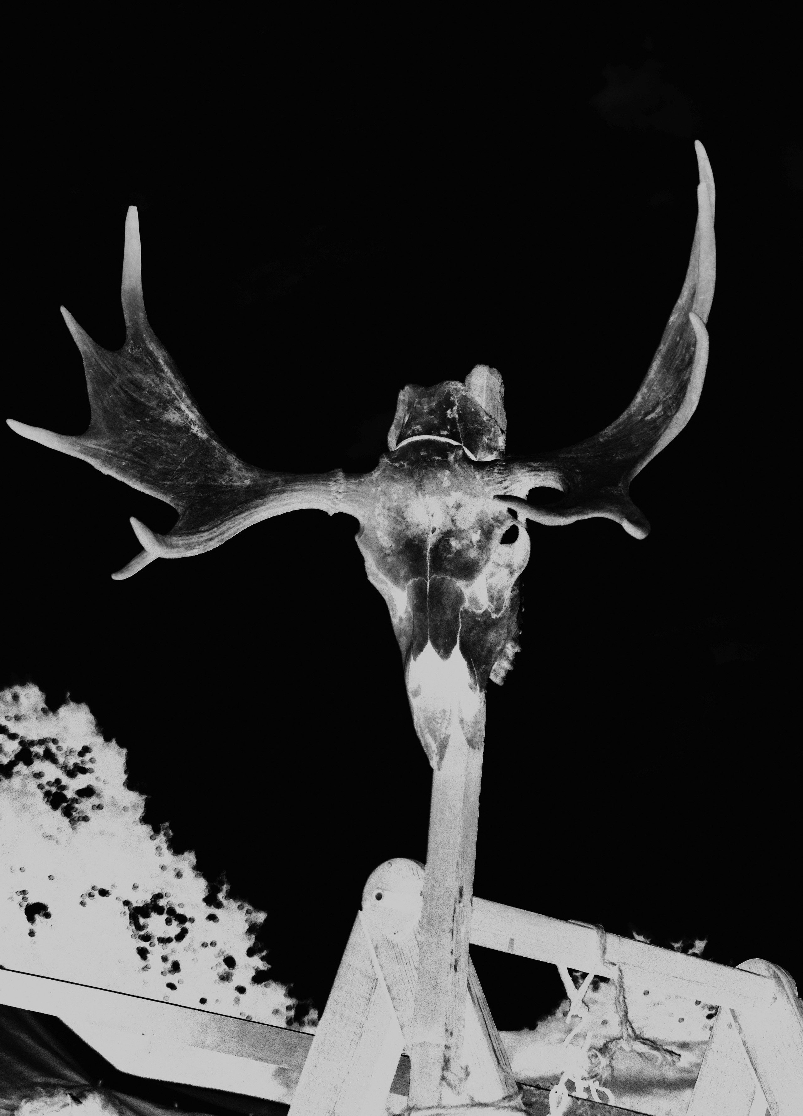 Скрытая иллюминация. Катрин Эдельвак