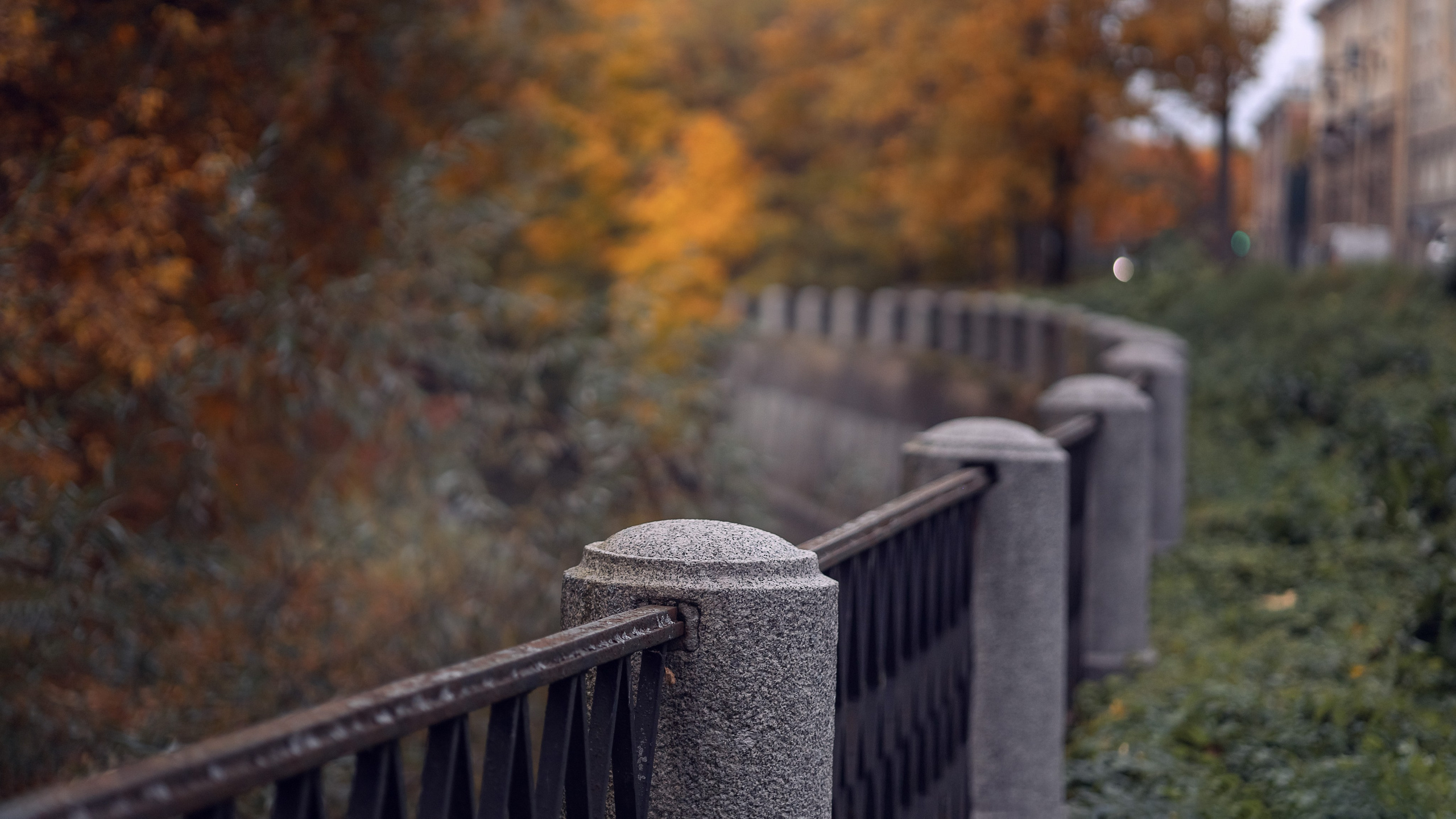 Евгения. Портретная съемка дома, на улице, в студии