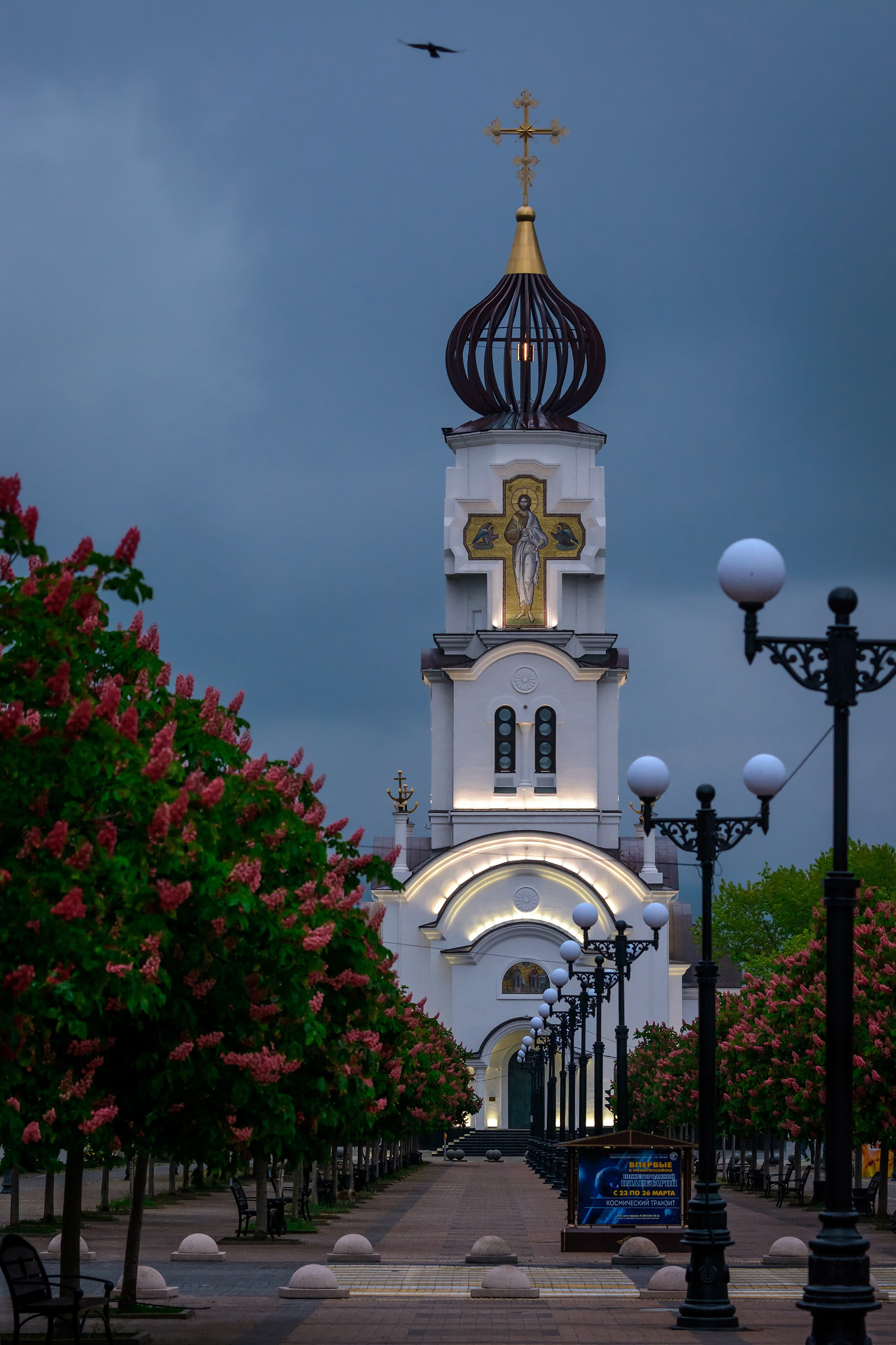 Краснодарский край, локация, фотосессия, Бульвар Черняховского, г. Новороссийск, аллея, каштаны, цветущие каштаны, розовые каштаны, прогулка, храм Петра и Февронии