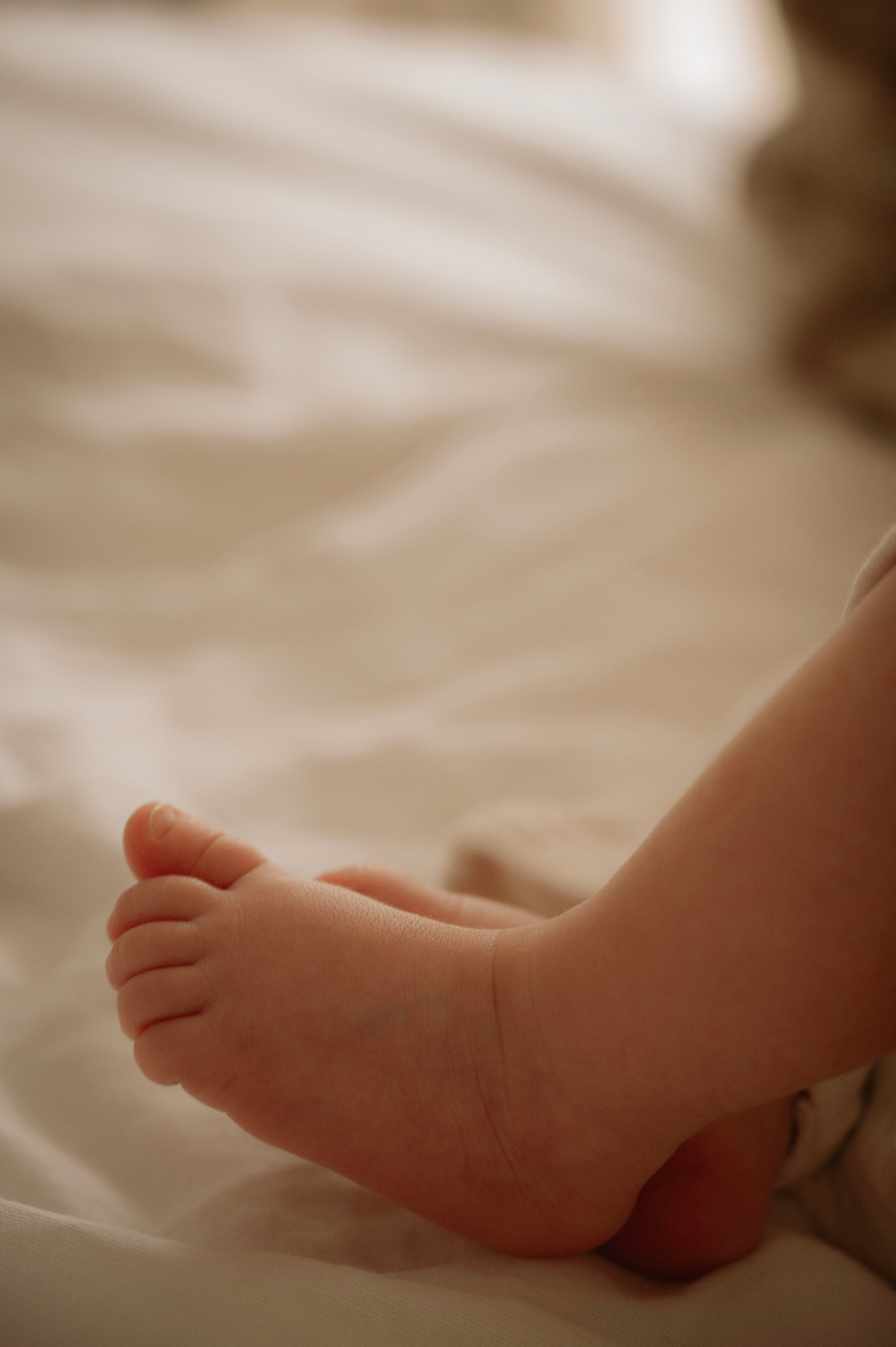 Фотосессия беременных в Санкт-Петербурге. Профессиональный фотограф беременности в СПБ. Стильные фотосессии беременности в стиле минимализм и классическая фотография