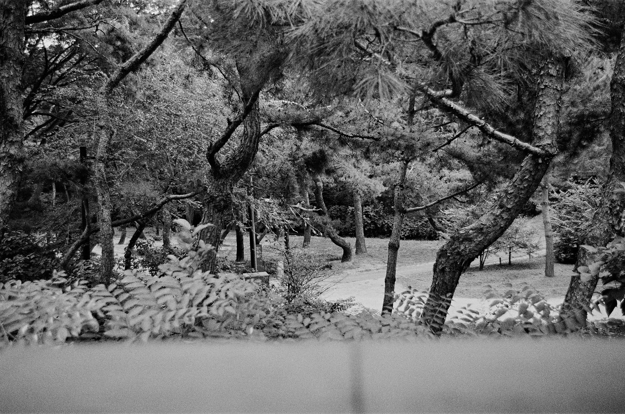 The gastroturist. Seoul (South Korea). Another person Pavel Potseluev. A photographer in 2025