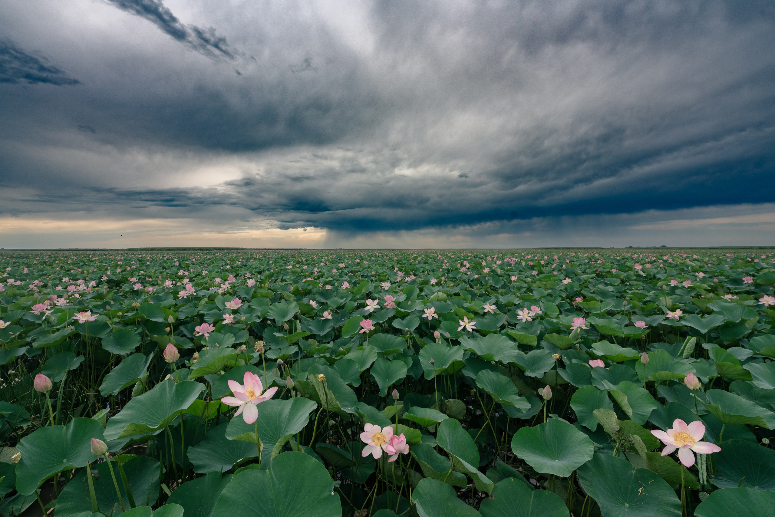 Фототуры по России с Наталией Поляковой