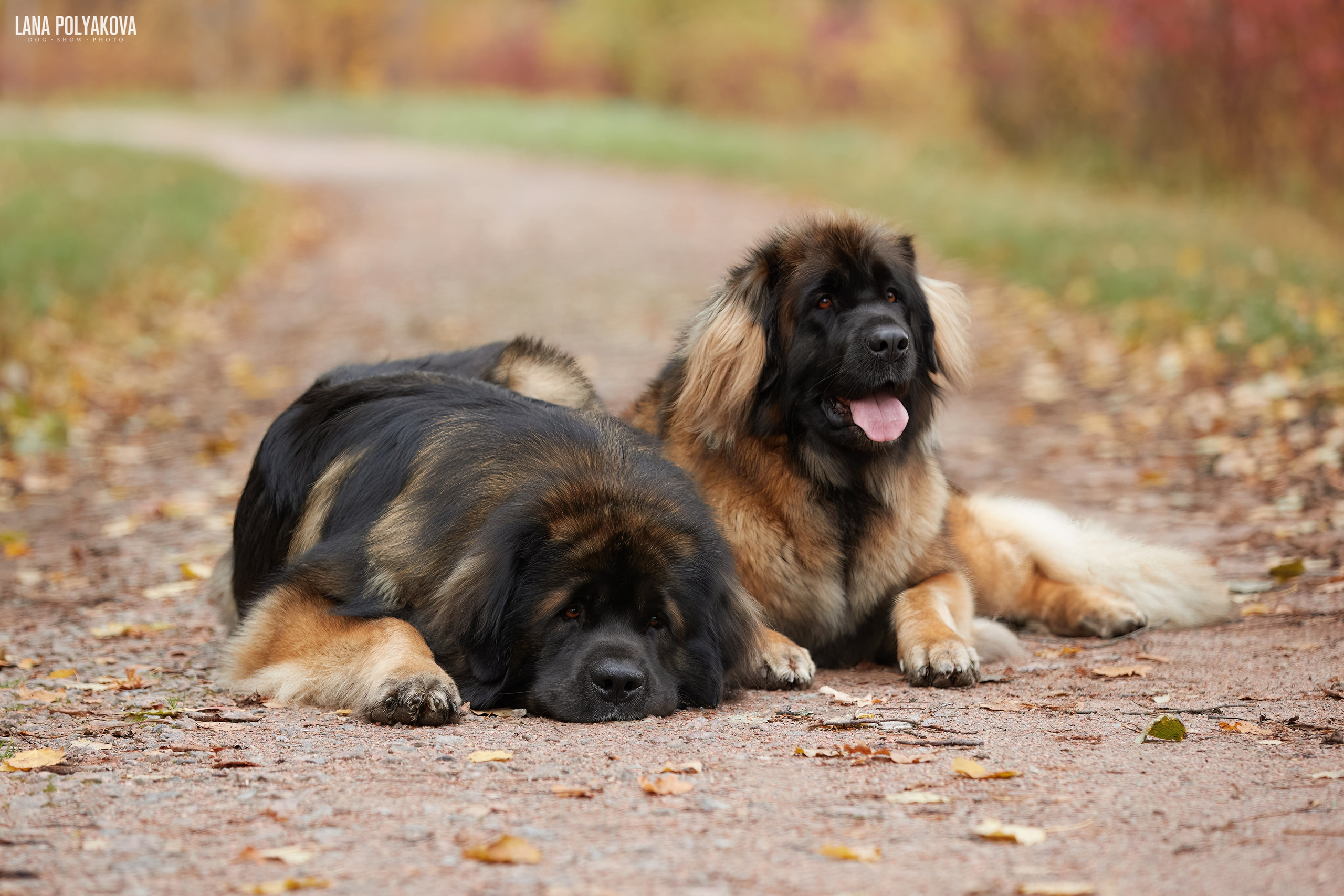 Лернбергеры на прогулке в Санкт-Петербурге