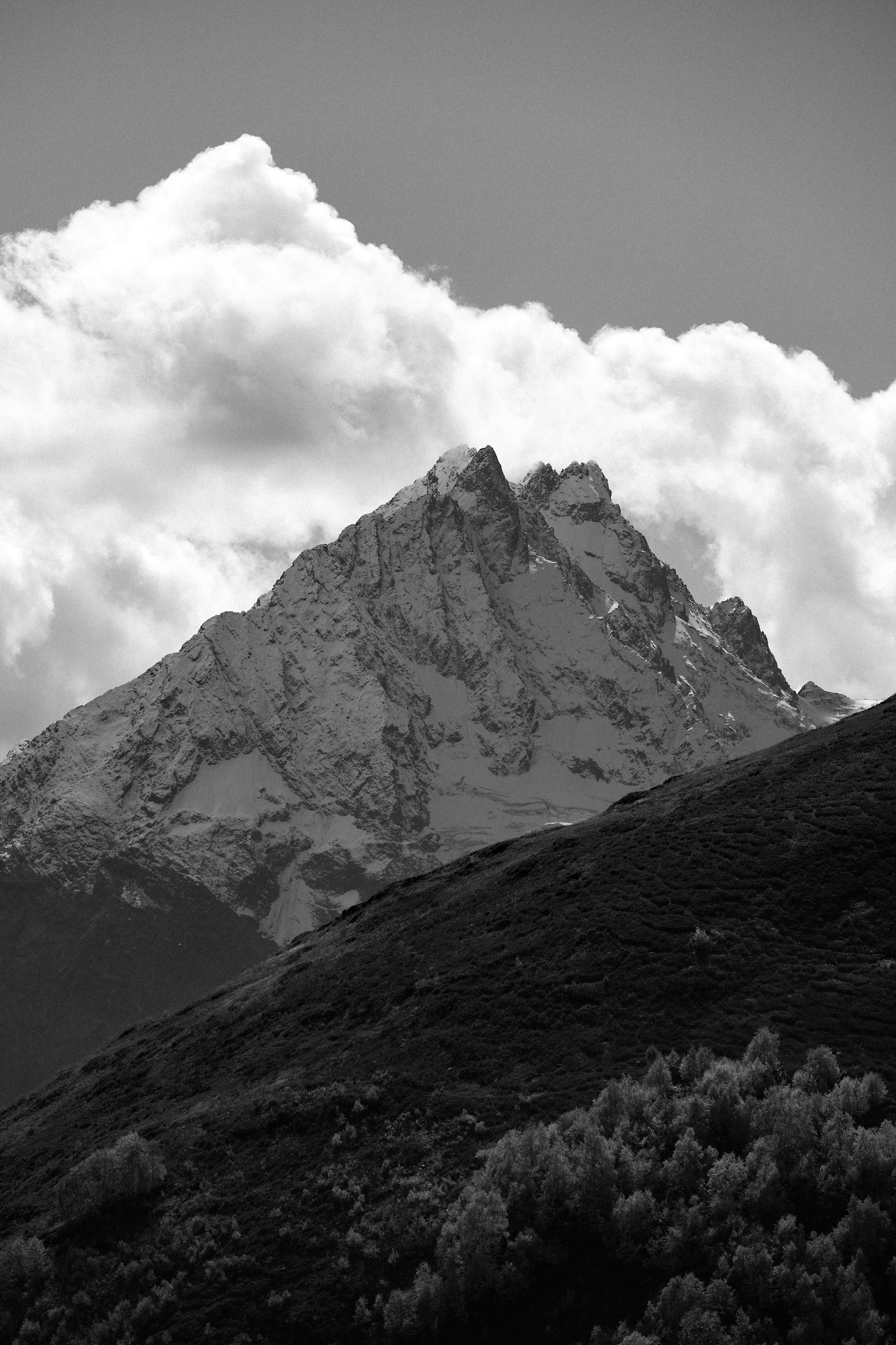 Принты. Марина Горбатова. Фотограф