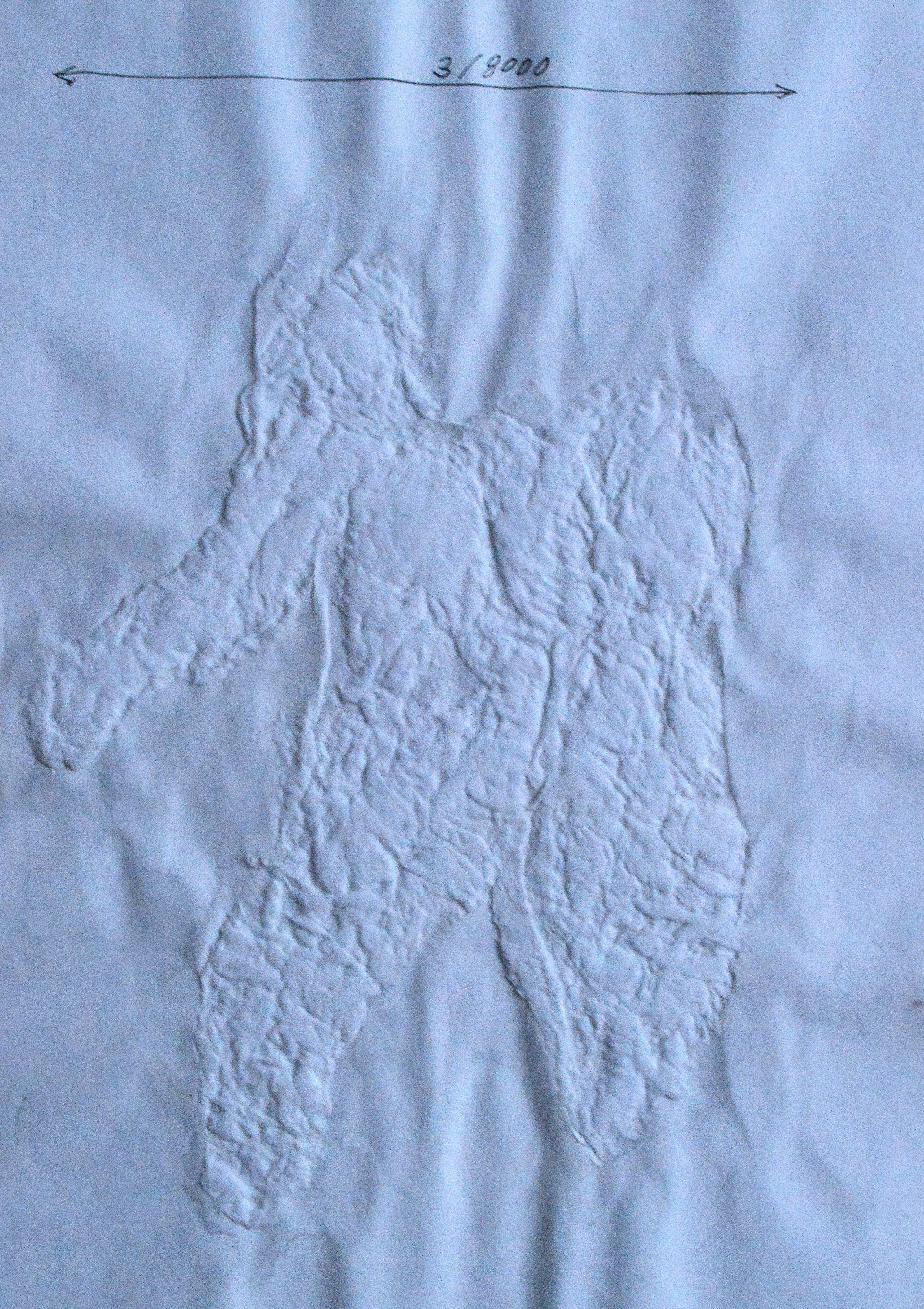 8000. 2025. Лилия Ким. Междисциплинарный художник