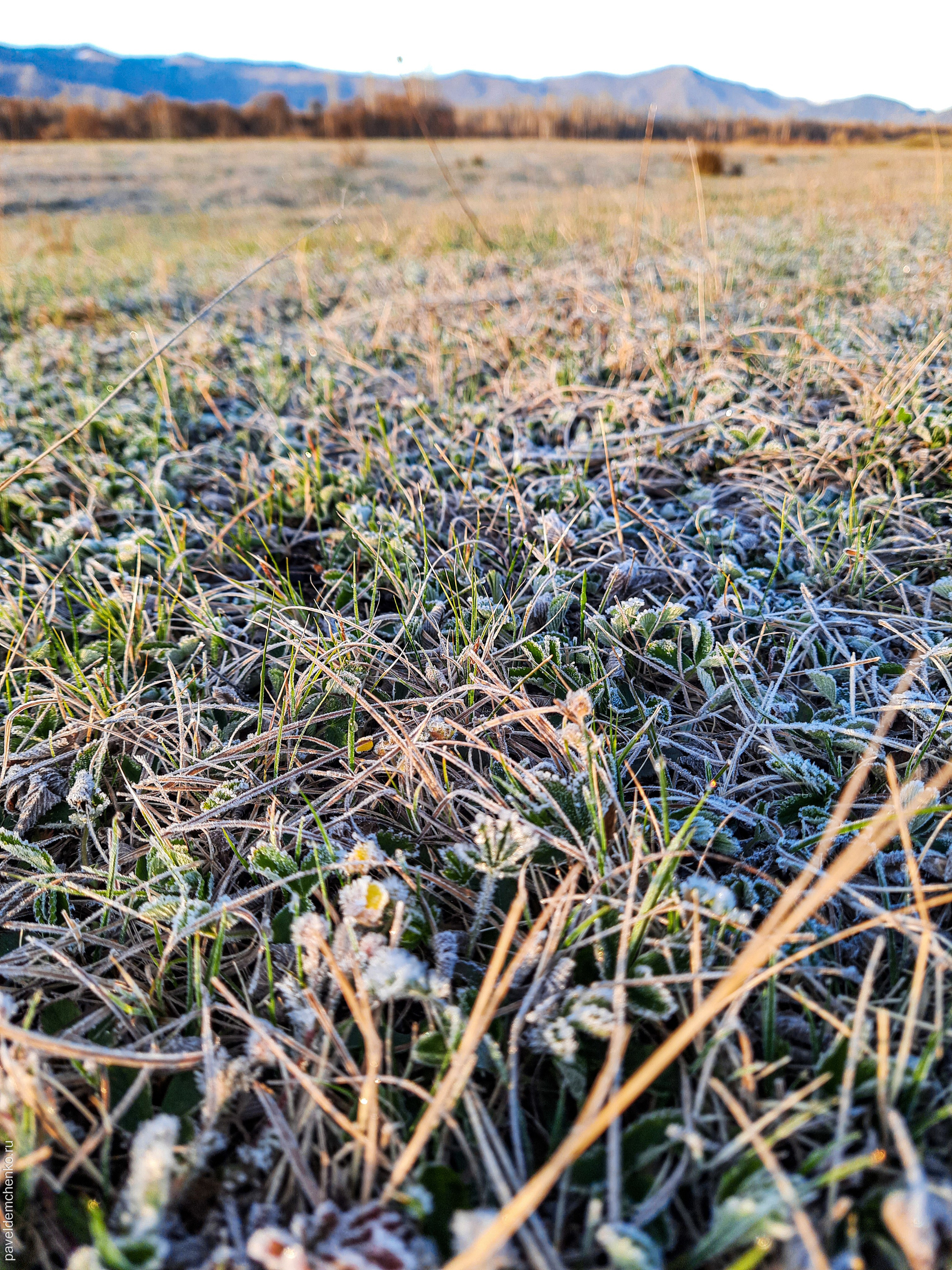 Как Генка Большой вёз Хагги Вагги на Тюнгурскую тропу. Gennady Travel