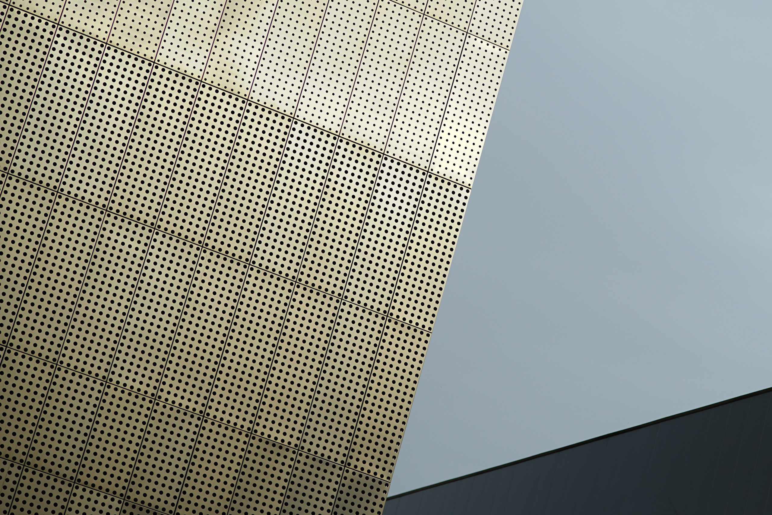 Canvas Aesthetics. Oleg Kozachok — Photographer with Protanopia | Portraits, Texture & Light