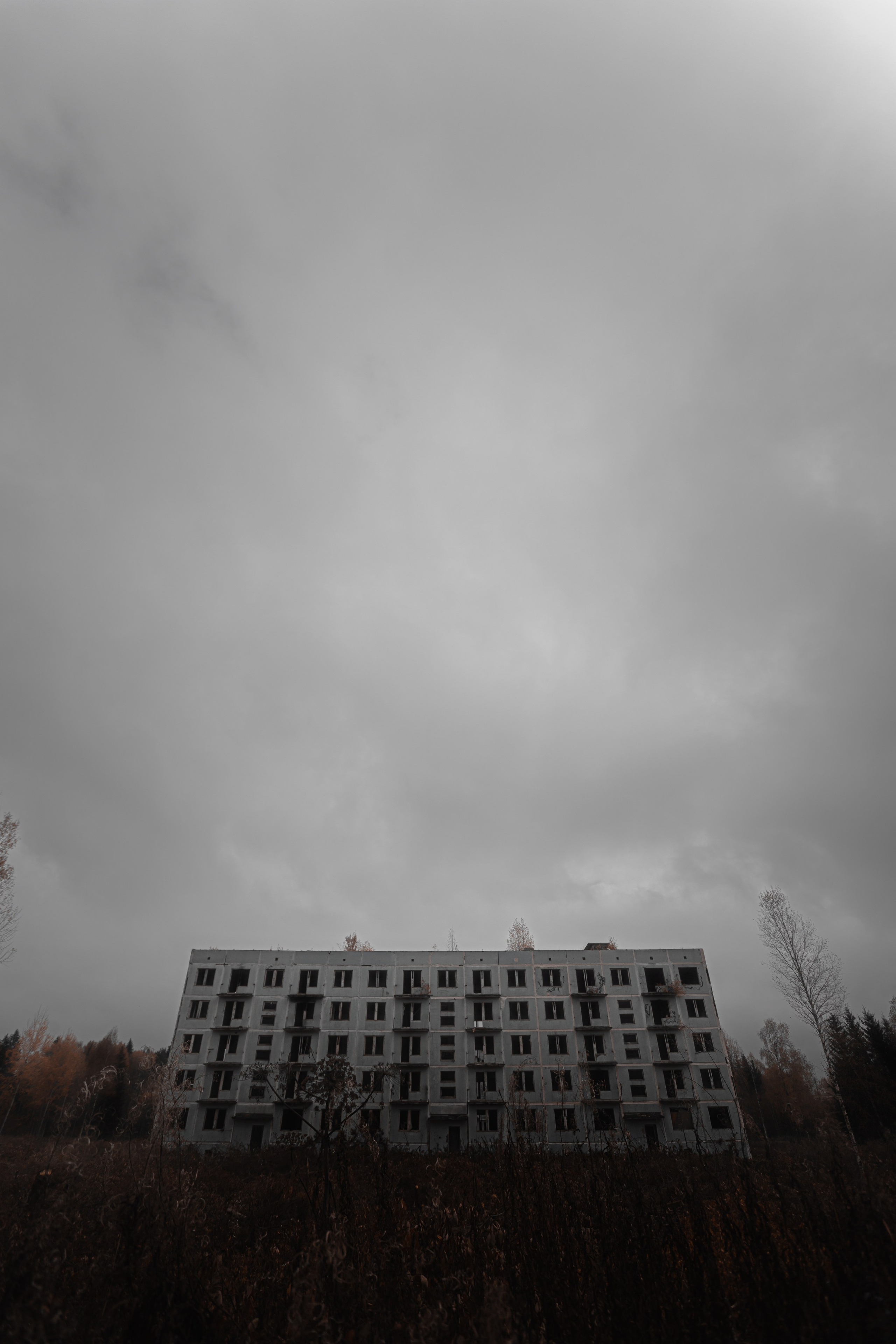 Постеры. Roycoreroy