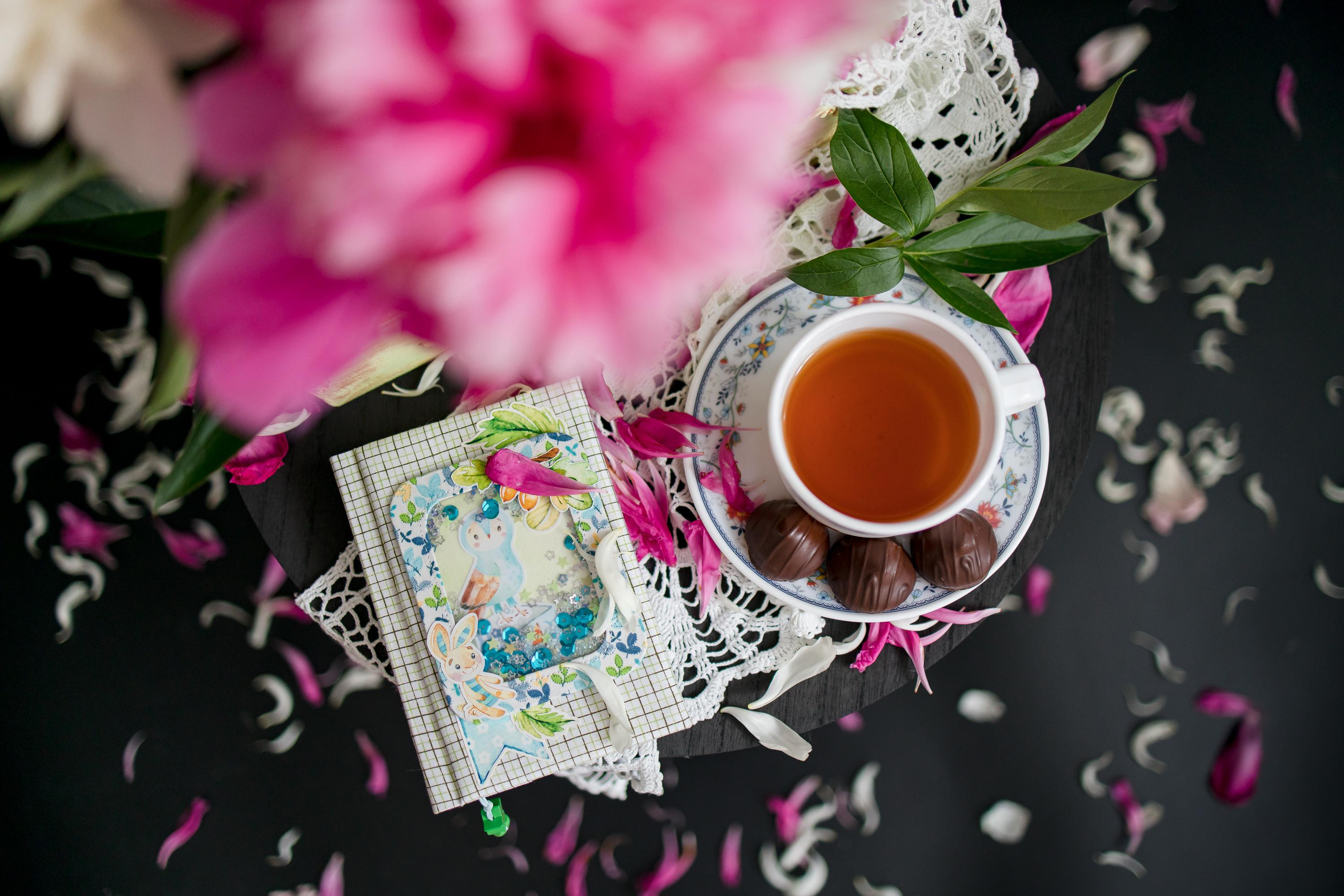 Пионовые грёзы. Семейный и детский фотограф в Железногорске Саламахо Ольга