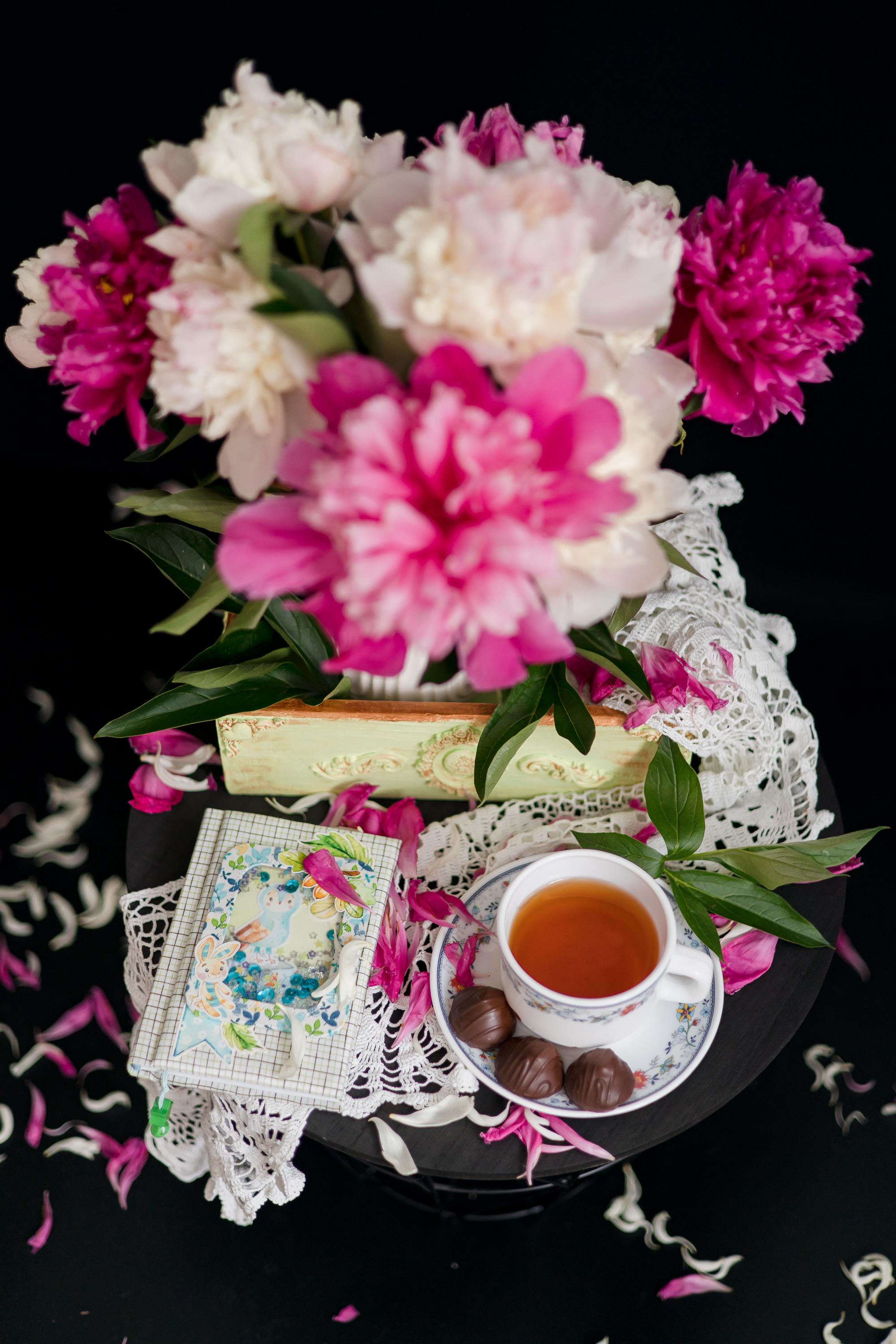 Пионовые грёзы. Семейный и детский фотограф в Железногорске Саламахо Ольга