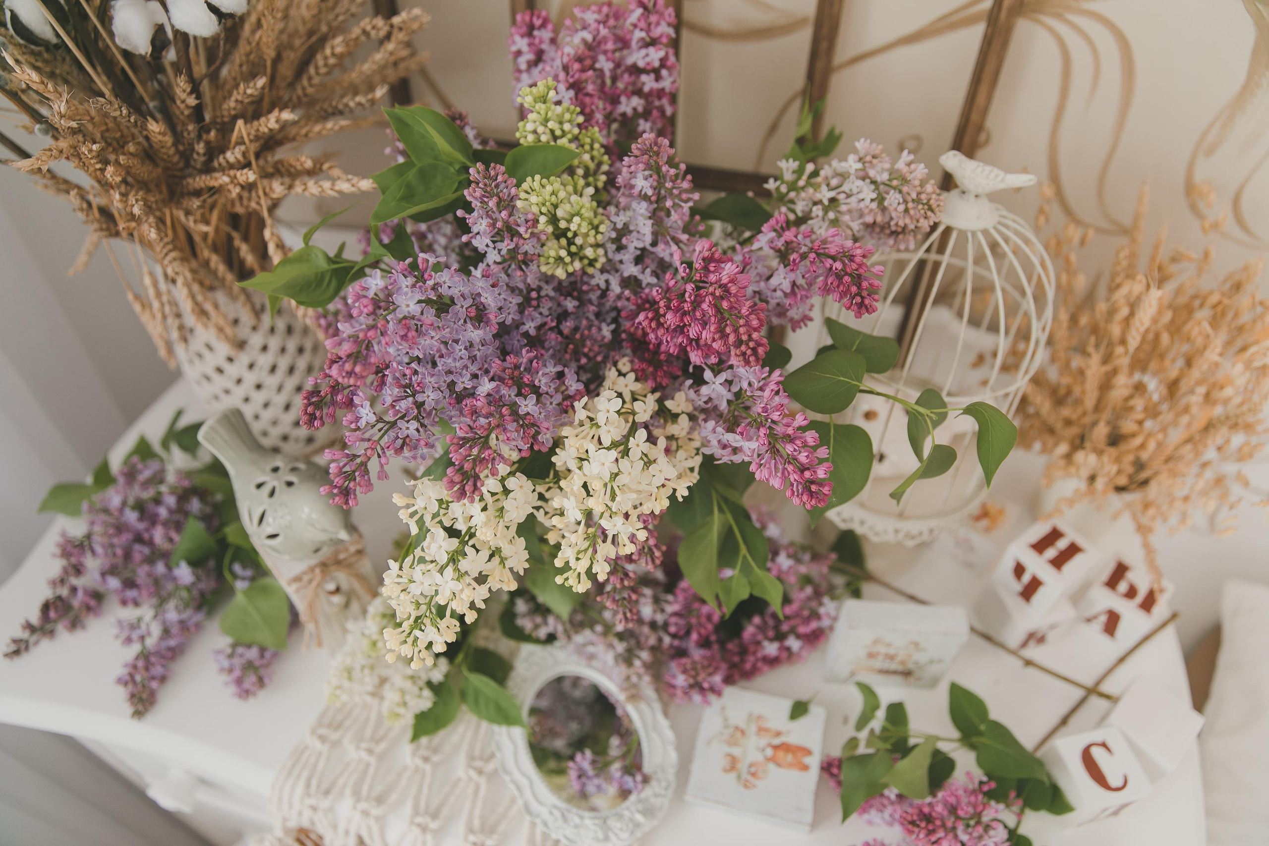Сиреневые грёзы. Семейный и детский фотограф в Железногорске Саламахо Ольга