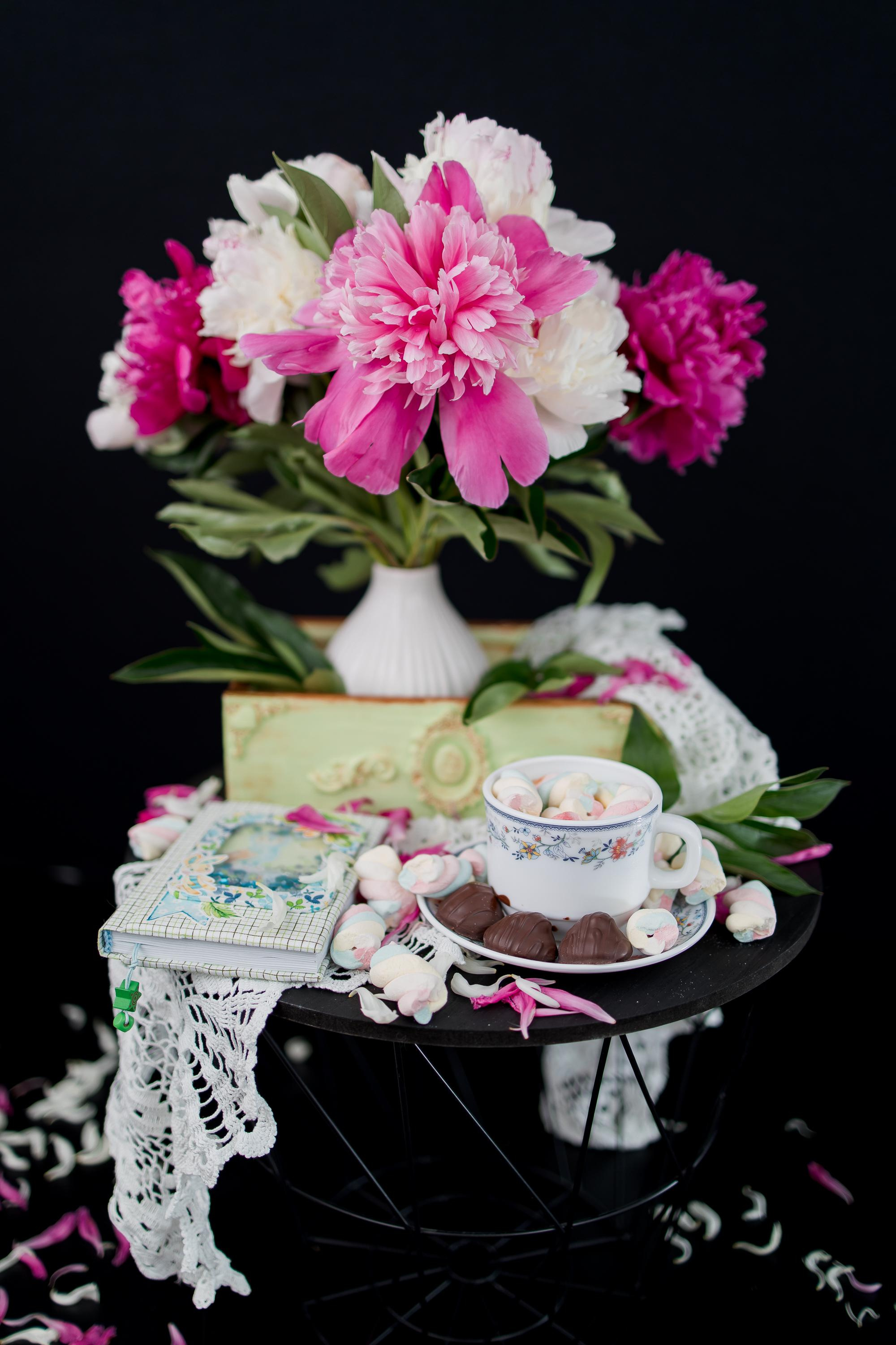 Пионовые грёзы. Семейный и детский фотограф в Железногорске Саламахо Ольга