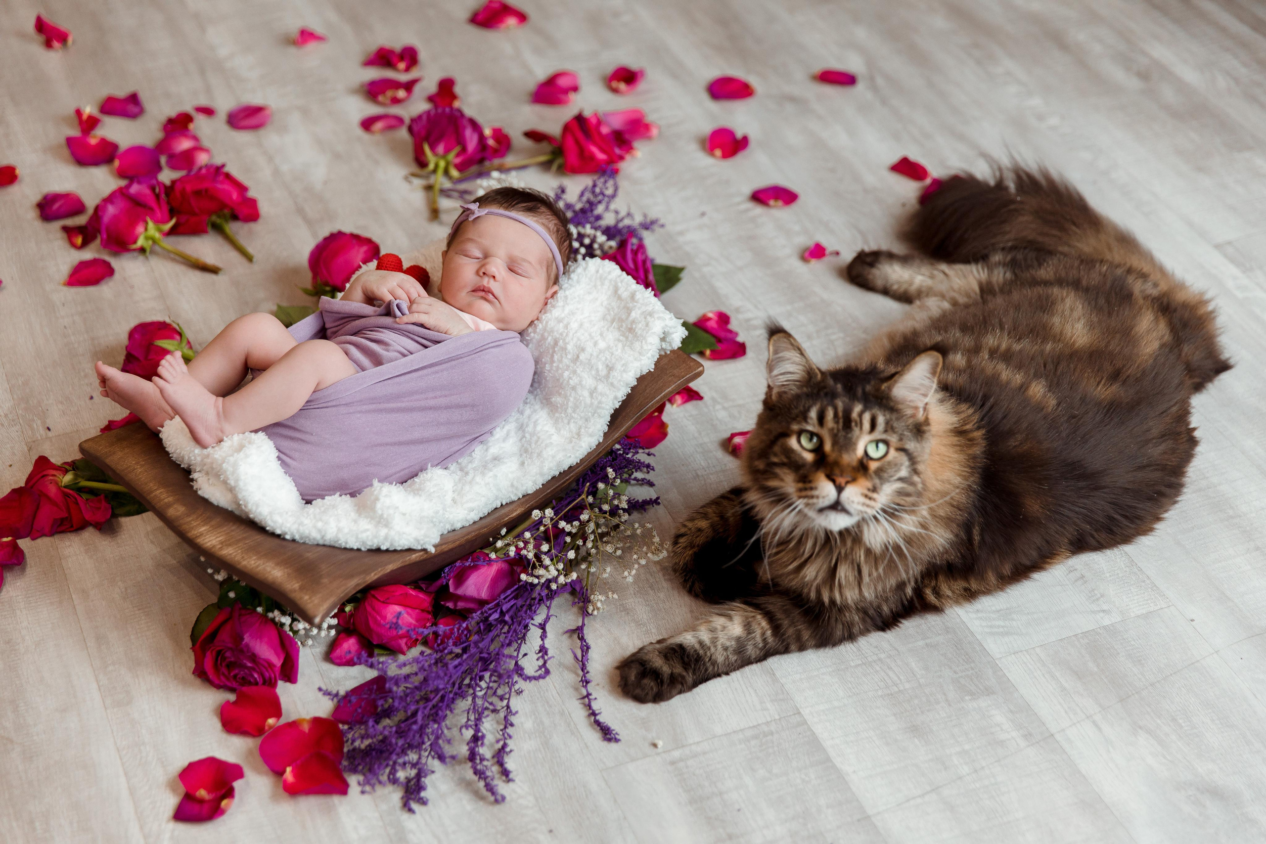 Семейный и детский фотограф в Железногорске Саламахо Ольга