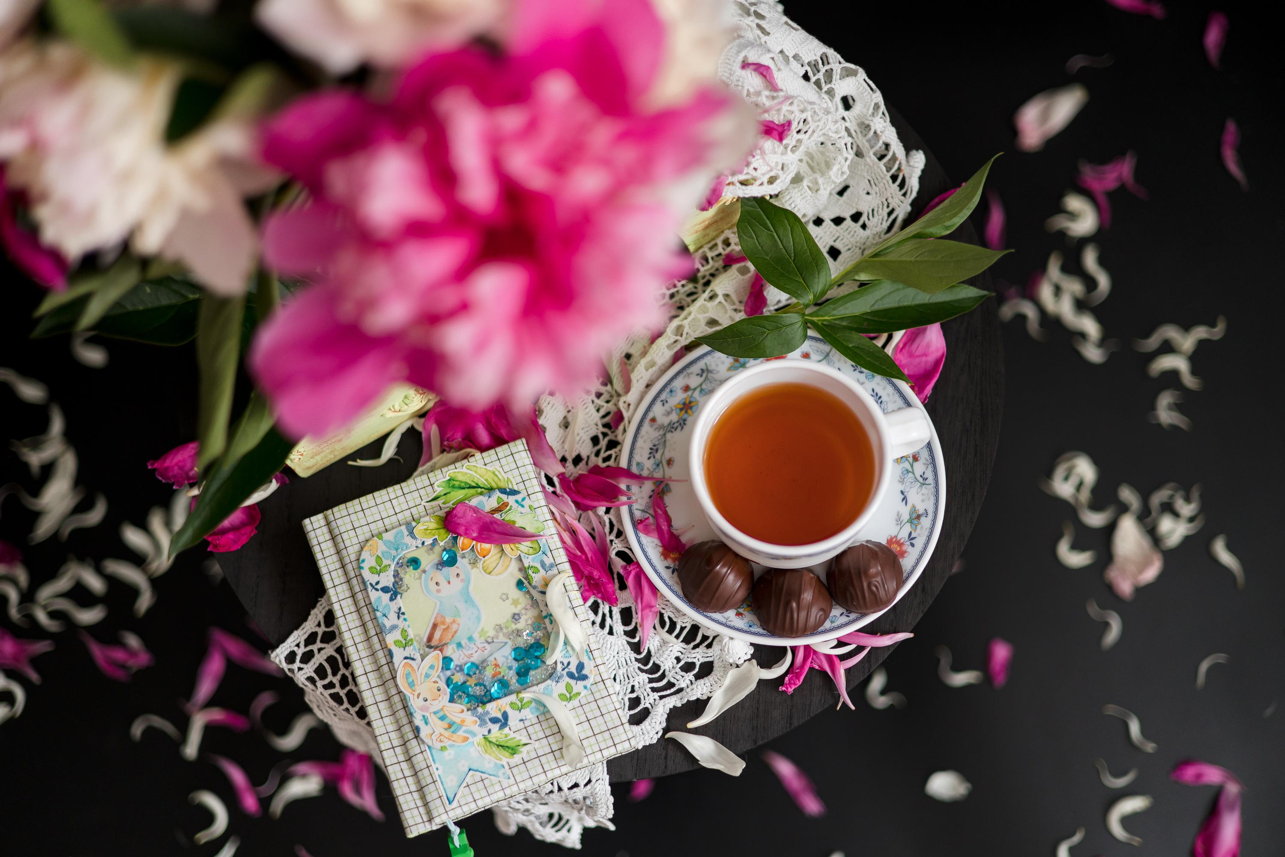 Пионовые грёзы. Семейный и детский фотограф в Железногорске Саламахо Ольга