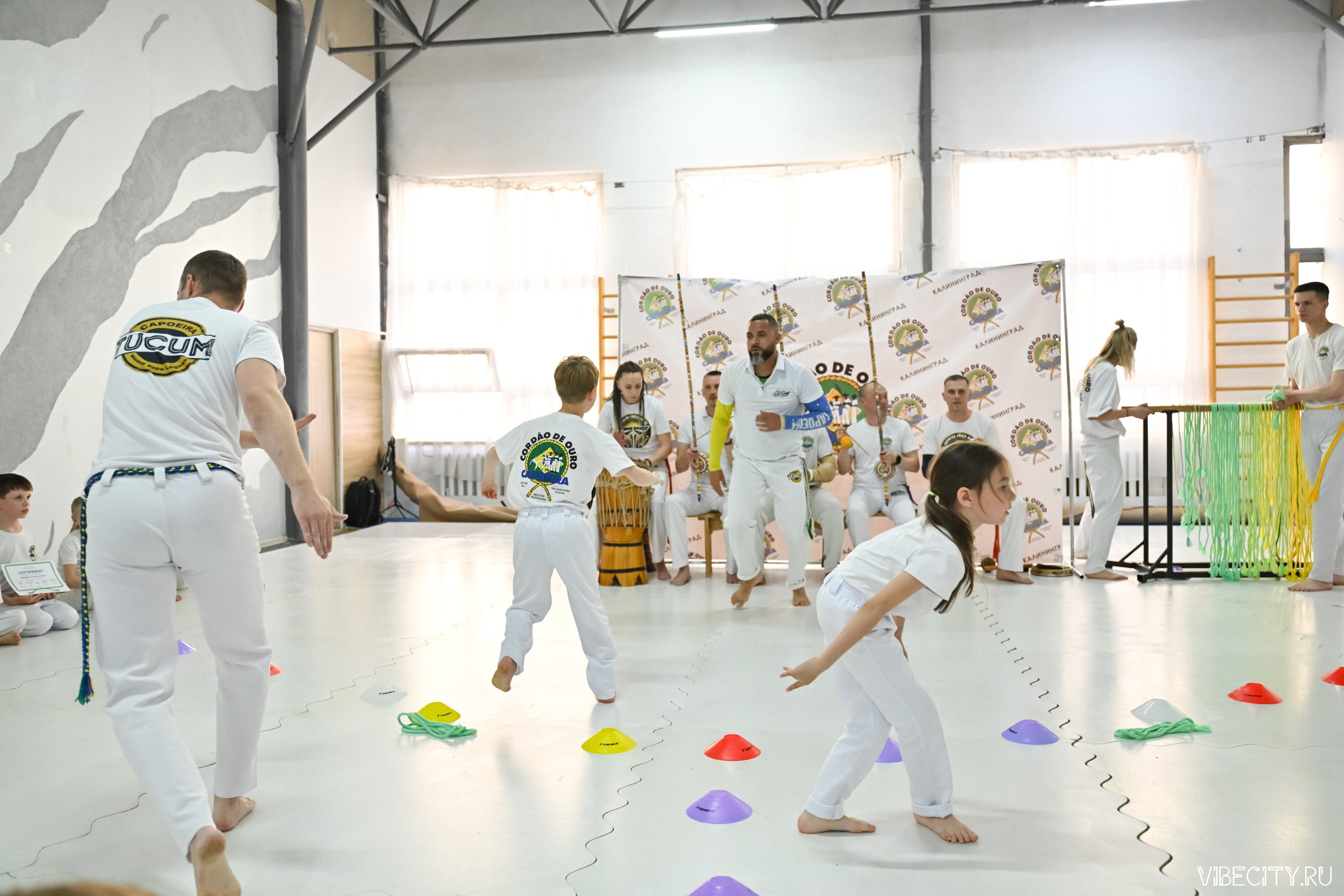 Capoeira: 4-е batizado e Troca de cordao. VIBECITY.RU Вайб Сити Ру Фоторепортажи Фотоотчеты Калининград